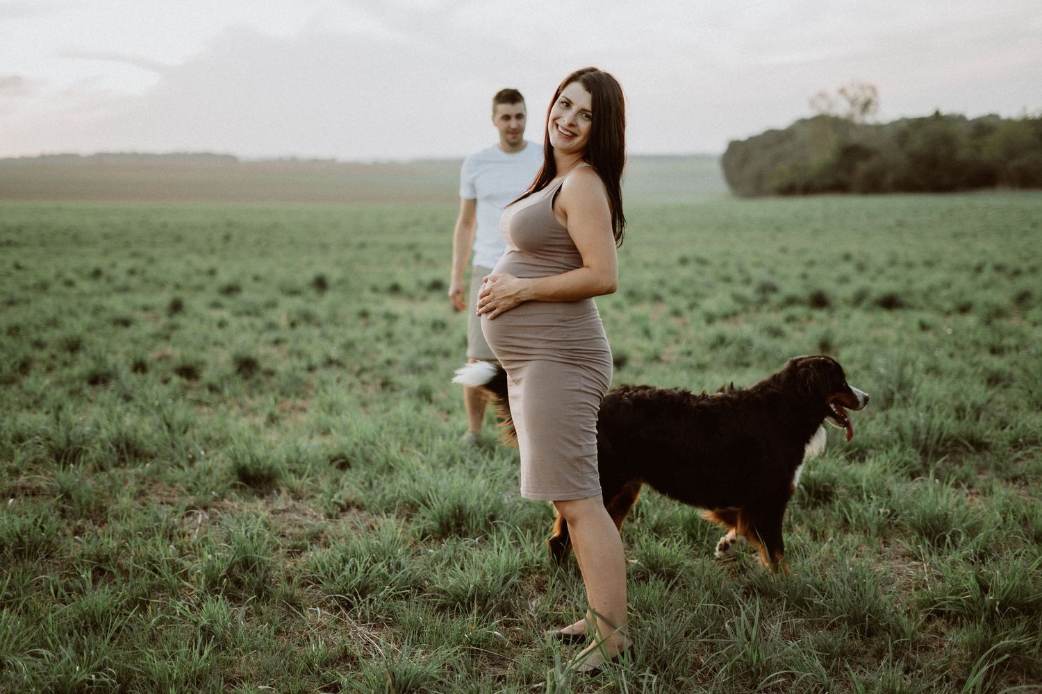 Maternity photoshoot in green meadow with dog in background during golden hour.