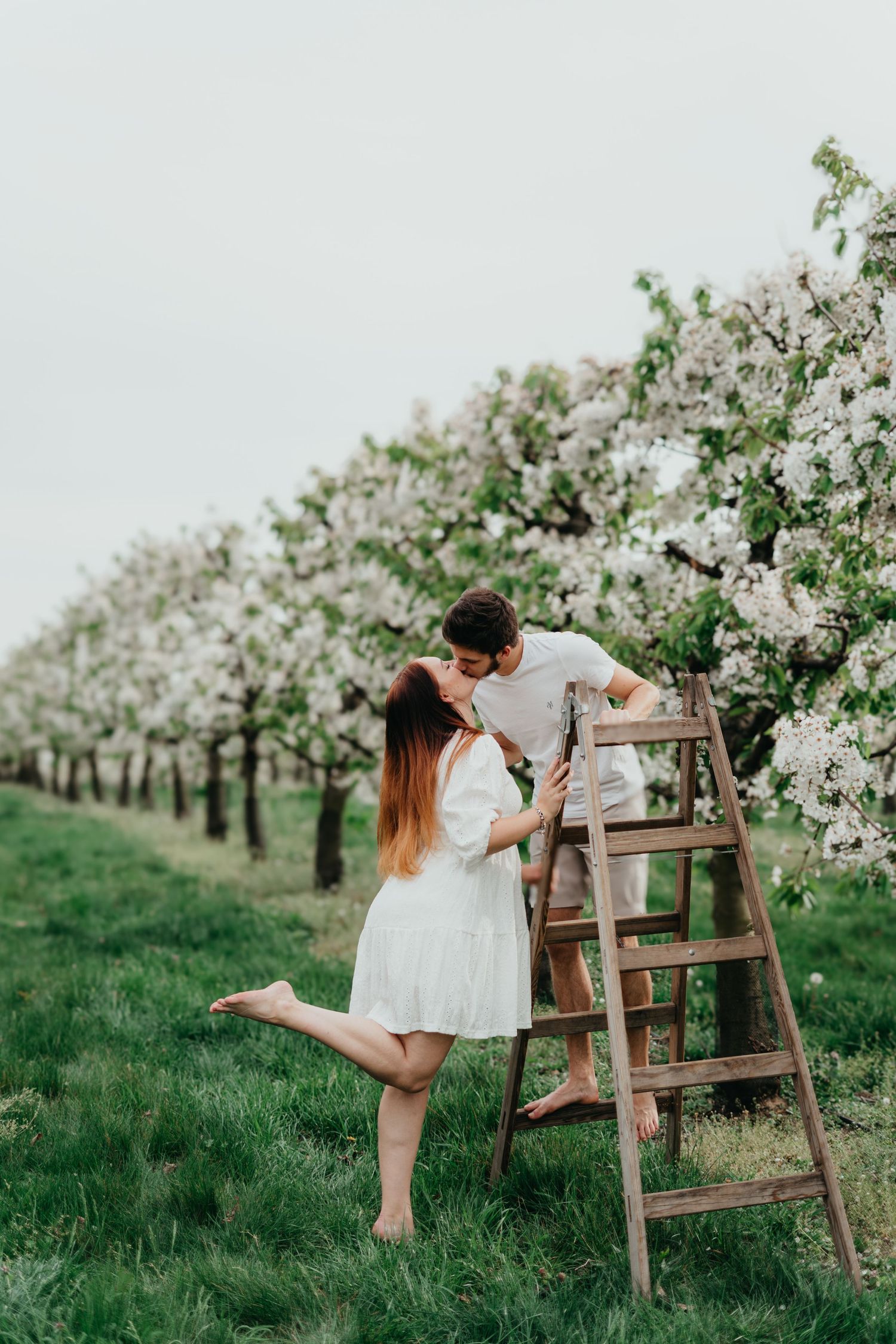 Spring maternity session amid blooming apple orchard with wooden ladder prop.