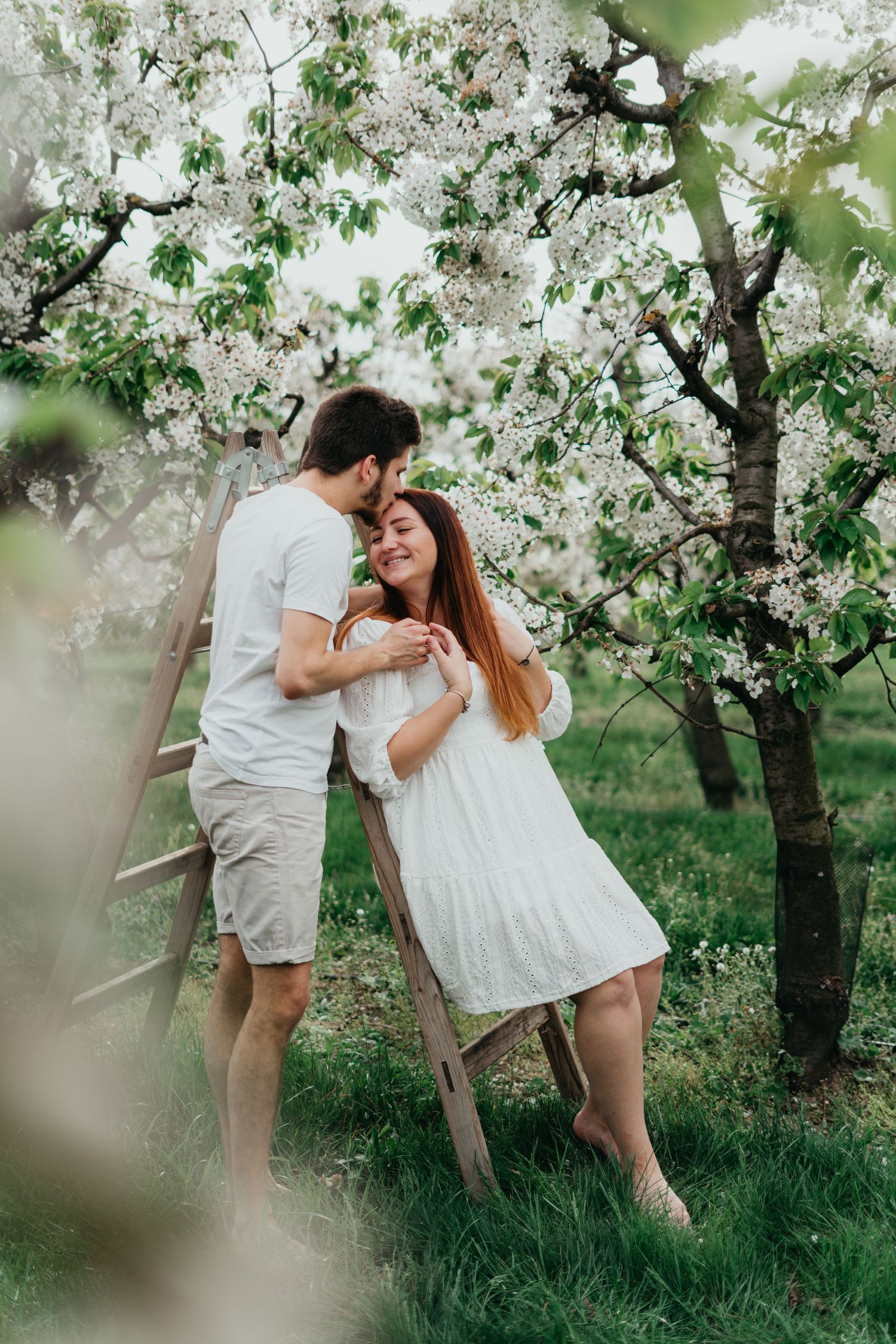 A tender embrace amongst blooming fruit trees in a spring orchard setting.
