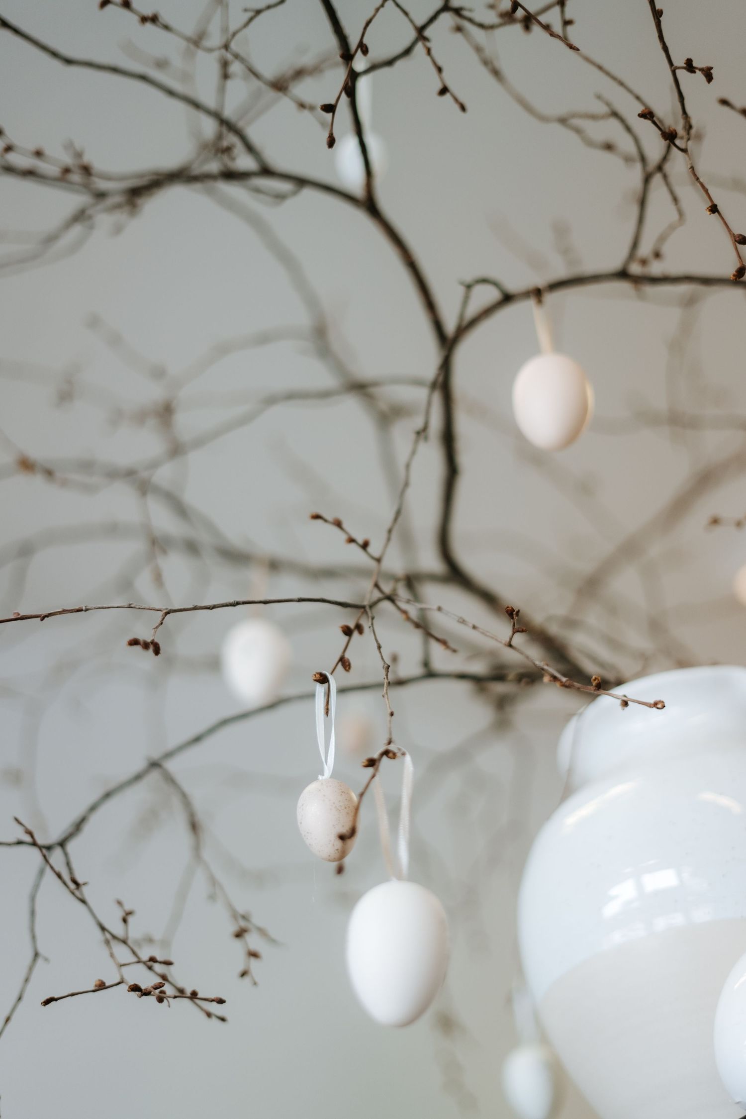 White decorative Easter eggs hanging from bare tree branches against a neutral background.