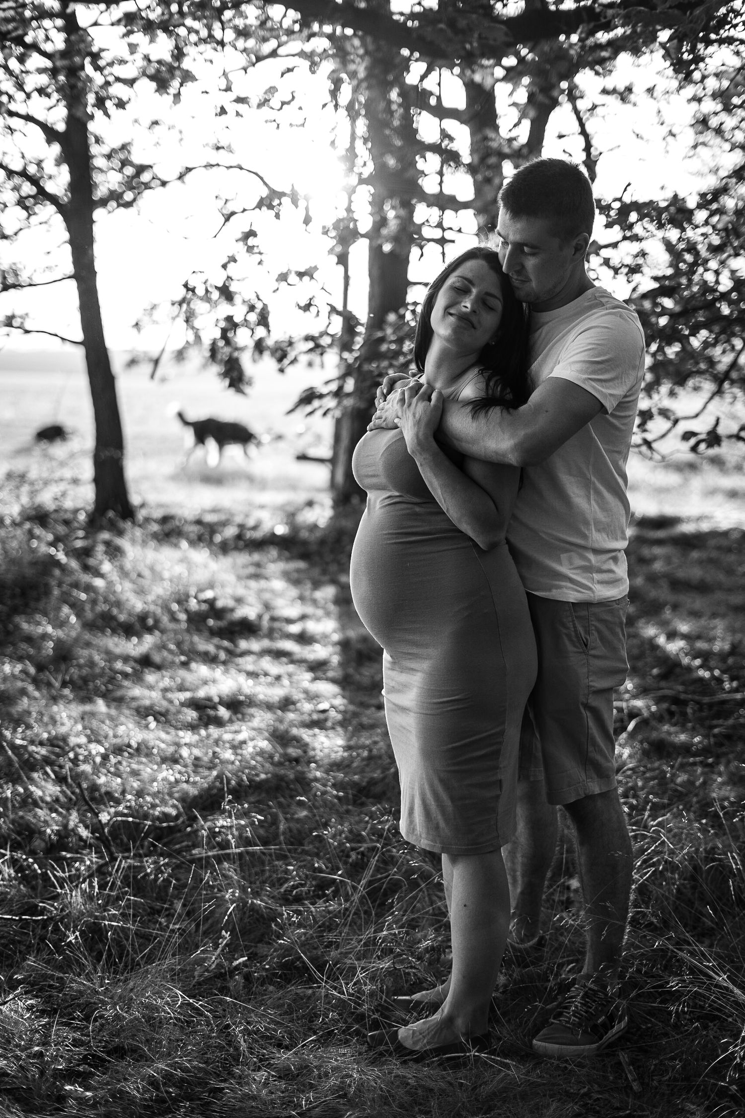 Black and white maternity photo with silhouetted trees and dog in background.