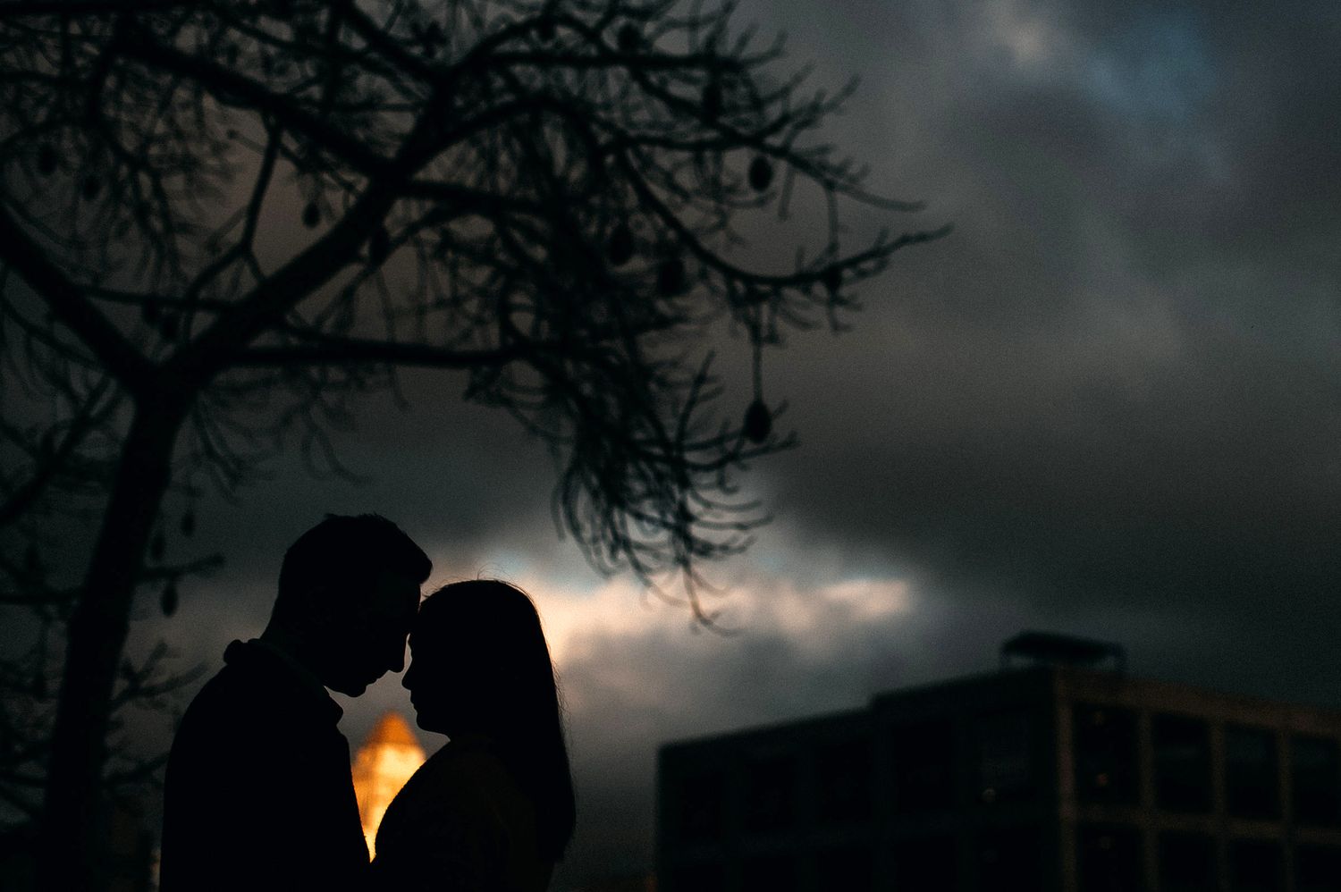 A silhouetted couple stands close together against a dramatic sunset sky with dark tree branches overhead.