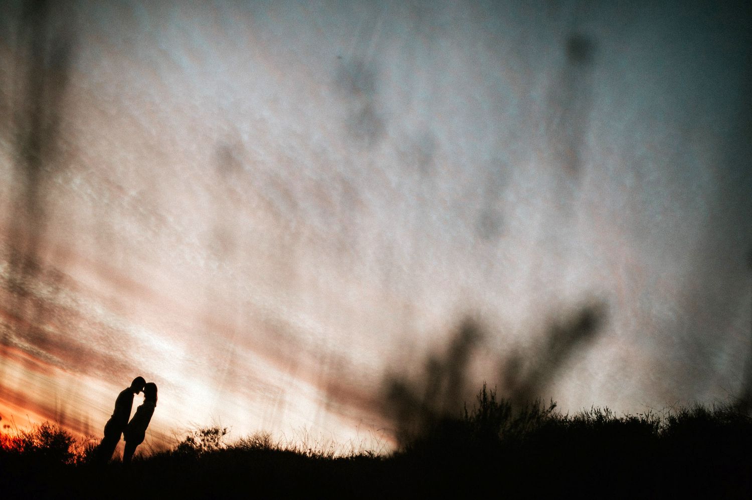 Silhouetted figure stands against dramatic sunset sky with dark shrubs creating moody atmospheric scene.