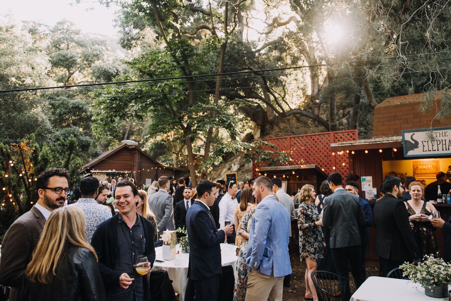 Guests mingle at an outdoor evening reception with string lights and natural sunlight filtering through trees.