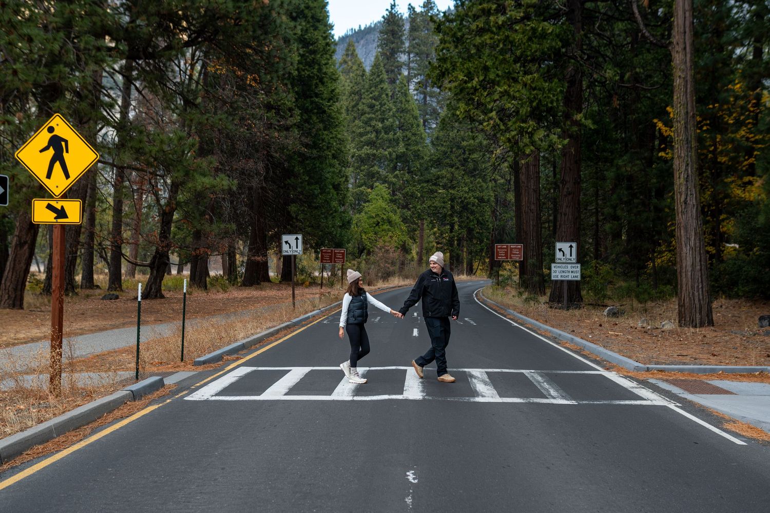 Two people crossing a paved road in a forest with yellow pedestrian signs visible.