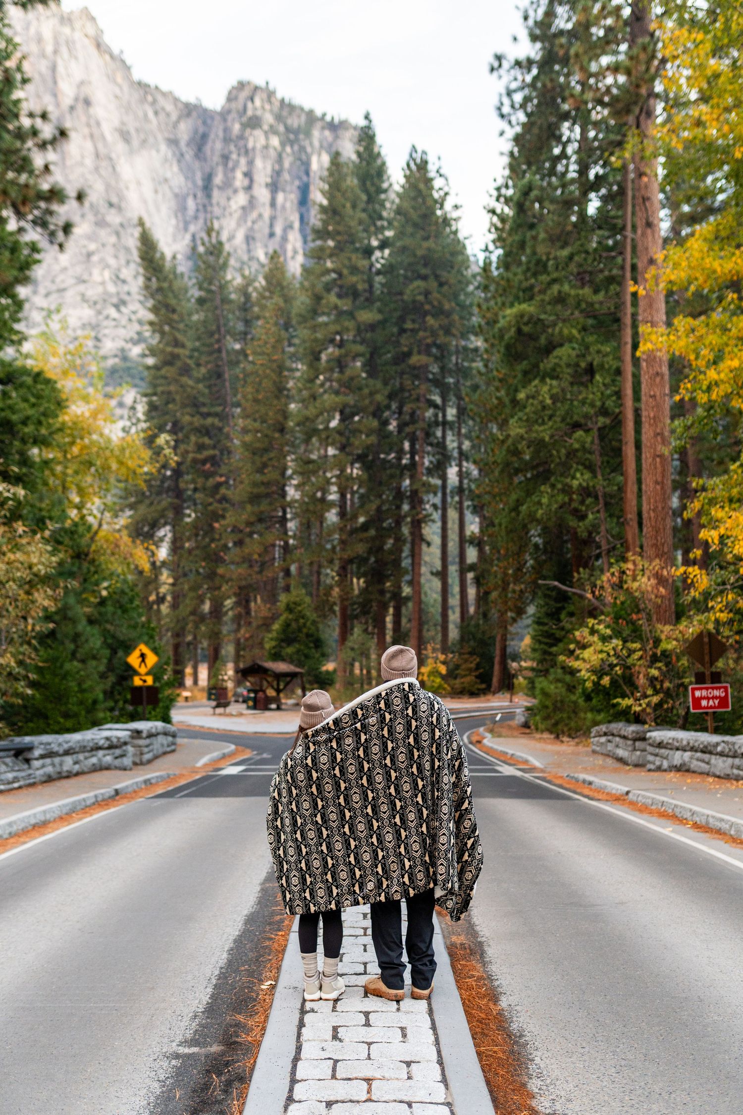 Series of photos showing people walking on a scenic mountain road surrounded by tall pine trees.