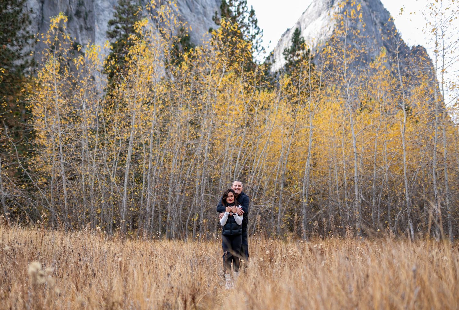 Autumn landscape with golden aspen trees and tall mountain peak in background, set in a dry grass meadow.