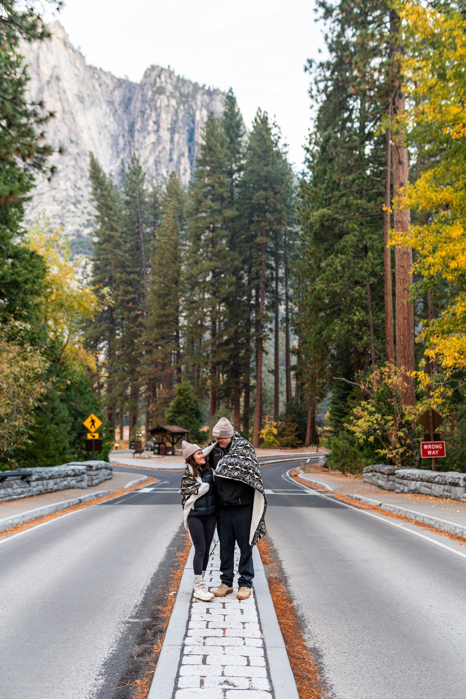 Sequence of images showing people walking along a road in Yosemite with mountains and forest in view.