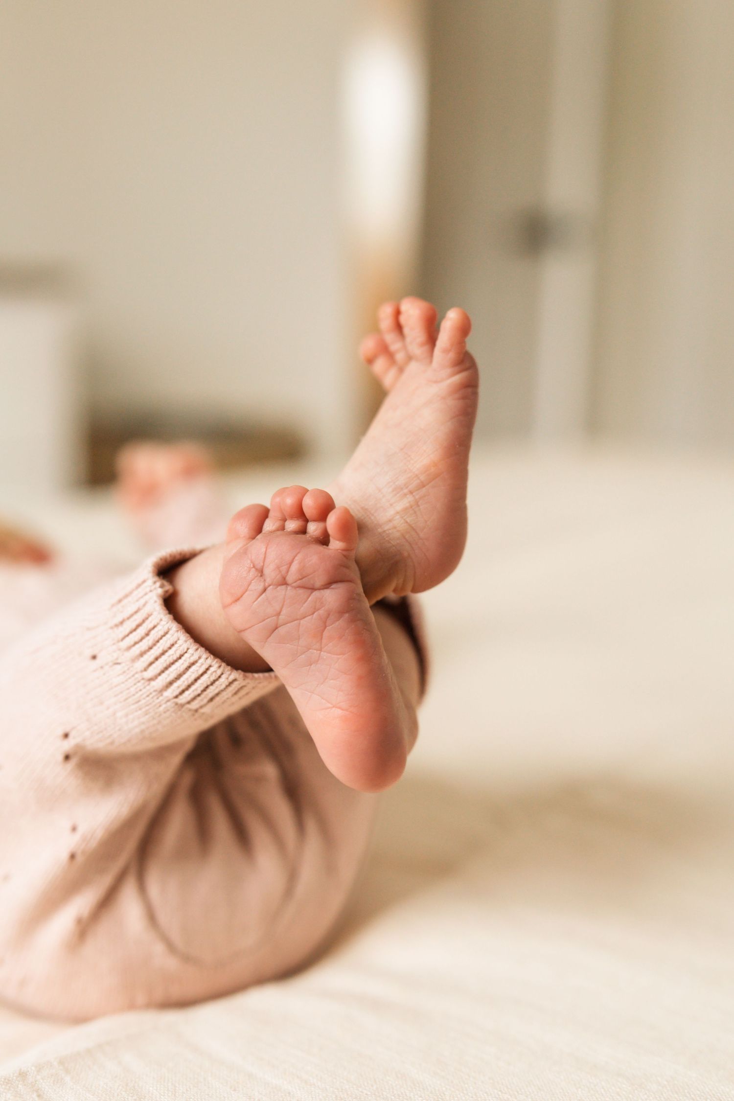 Newborn Indoor Session