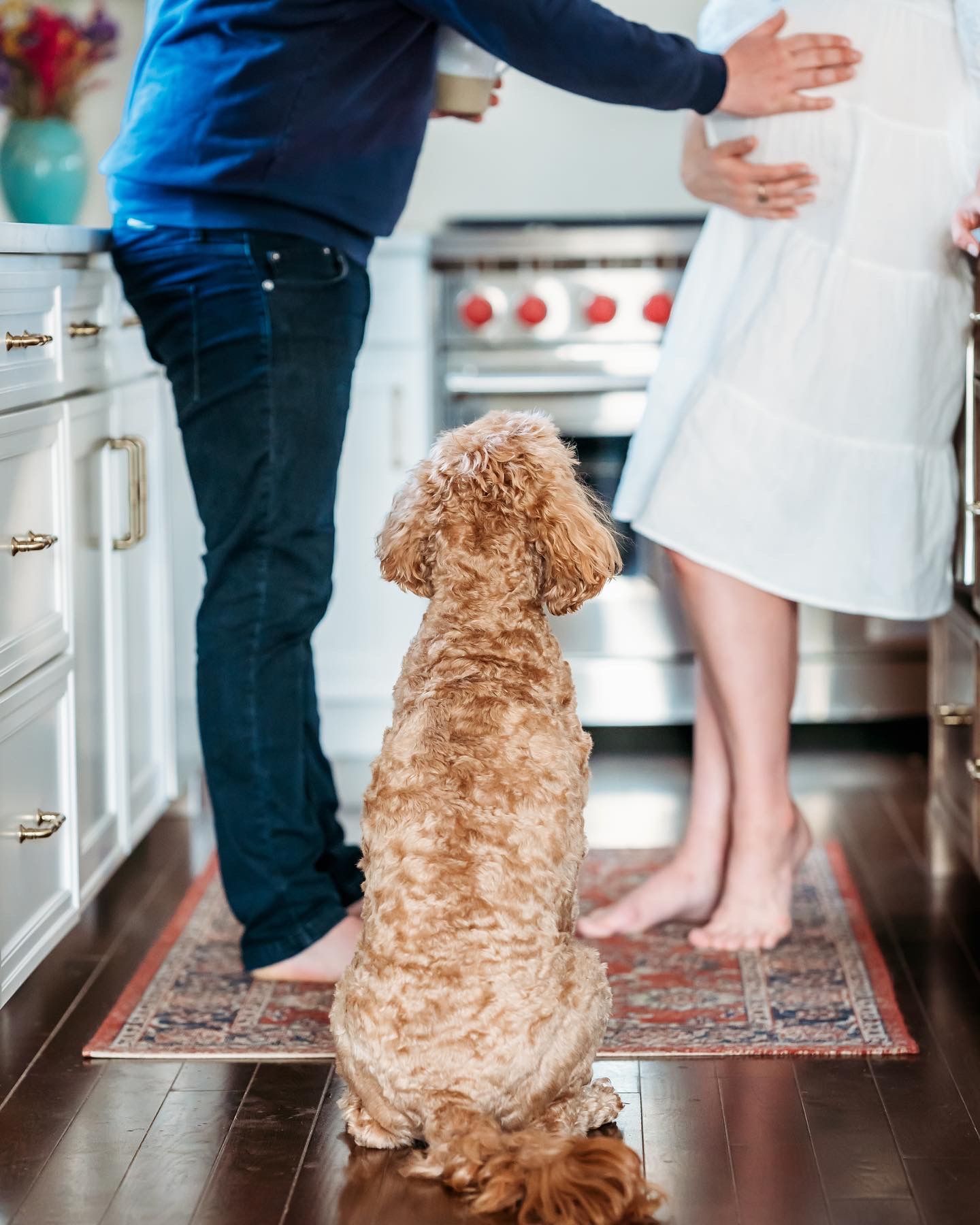 A goldendoodle dog sits attentively on a patterned rug in a kitchen while people stand nearby.