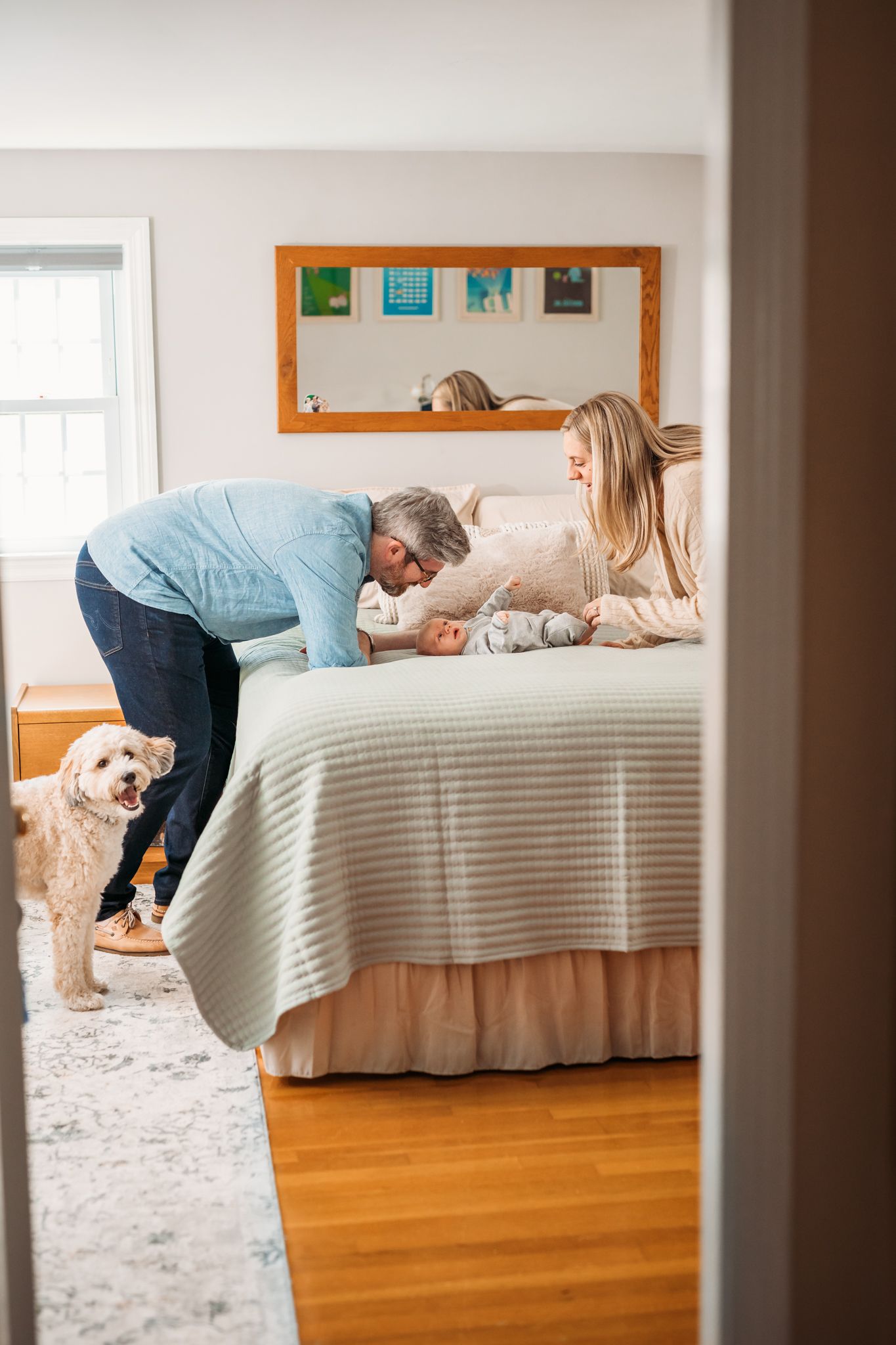A sequence of photos showing a person and dog interacting on a bed in a sunny room with hardwood floors.