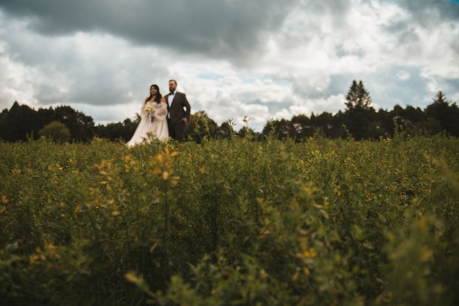 A series of panoramic shots showing a couple in a golden sunflower field during a romantic outdoor photoshoot.