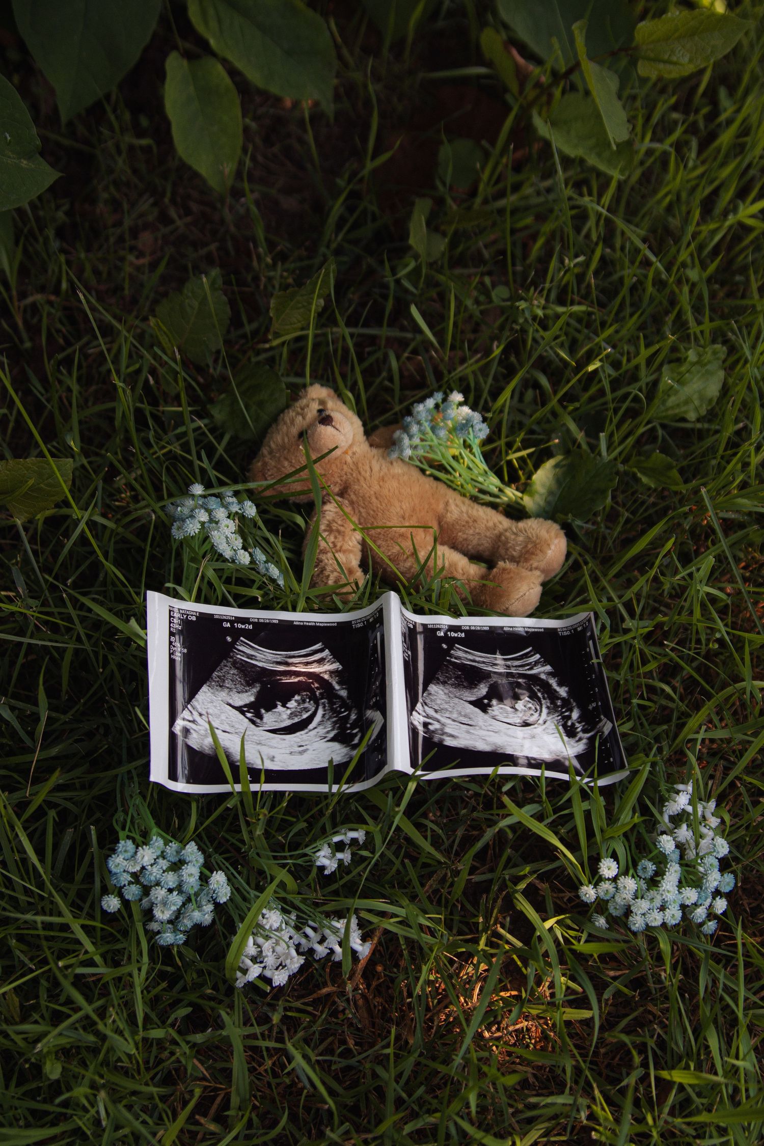 Two ultrasound photos and a plush teddy bear arranged on grass with delicate blue flowers in a pregnancy announcement setup.