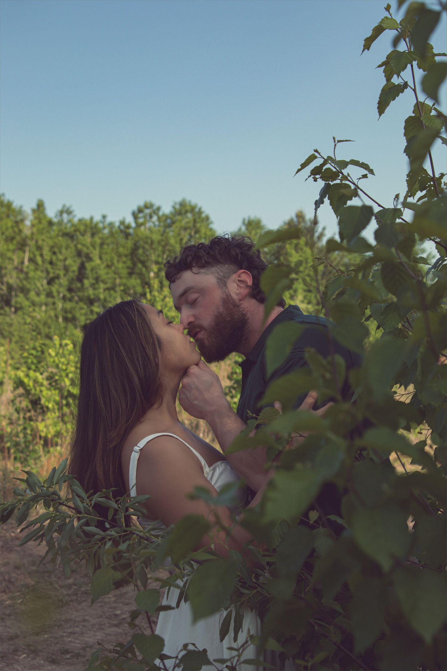 A romantic couple embraces and kisses among lush green grape vines in a sun-dappled vineyard on a summer afternoon.