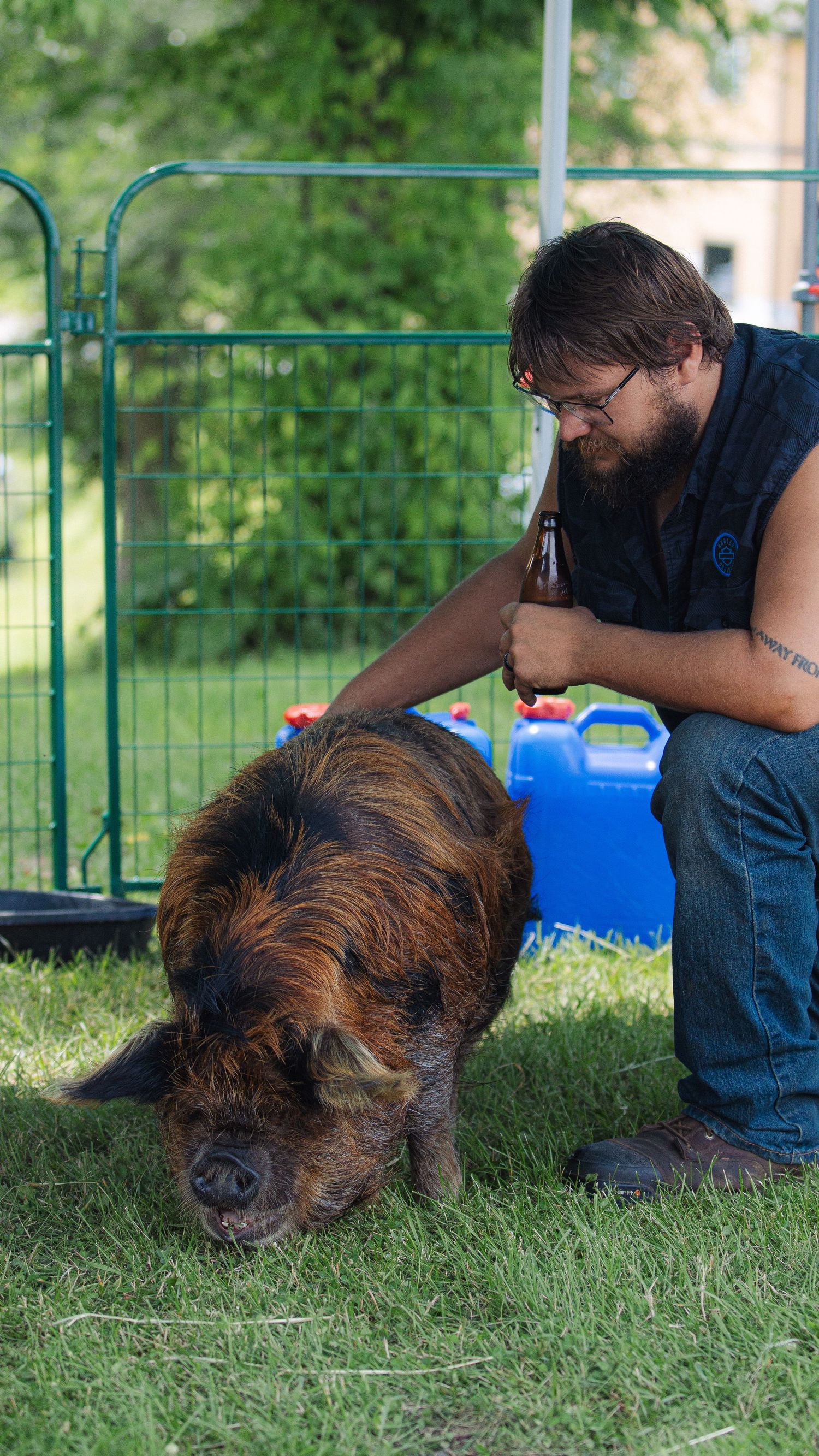 Bearded man with glasses petting a large hairy pig on green grass near a metal fence outdoors.