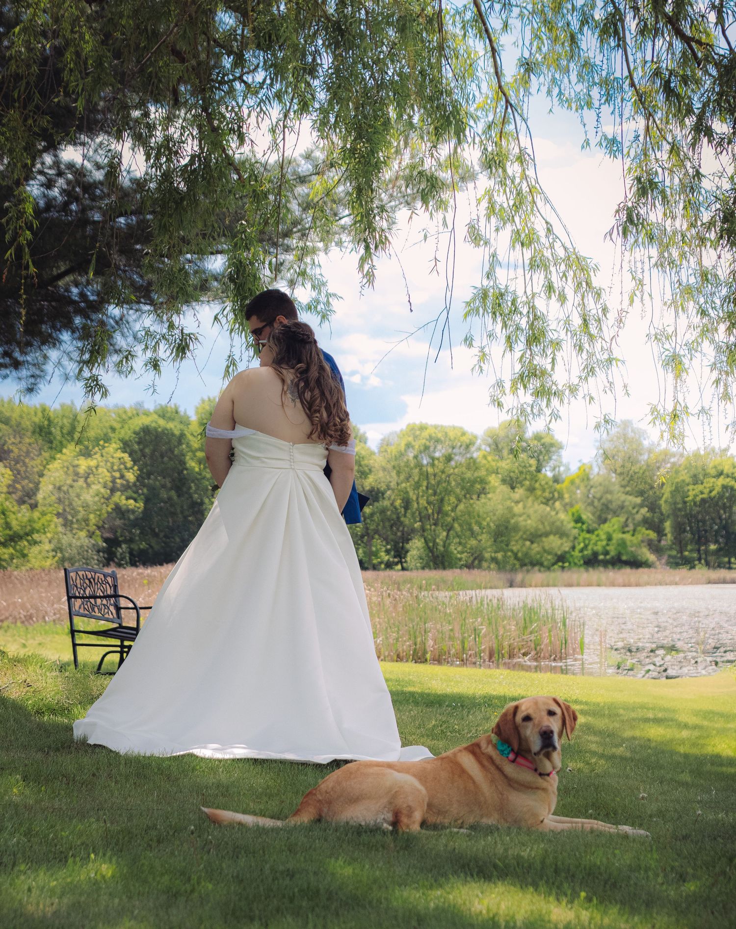 Wedding couple poses in a sunny garden with their loyal golden retriever resting nearby.