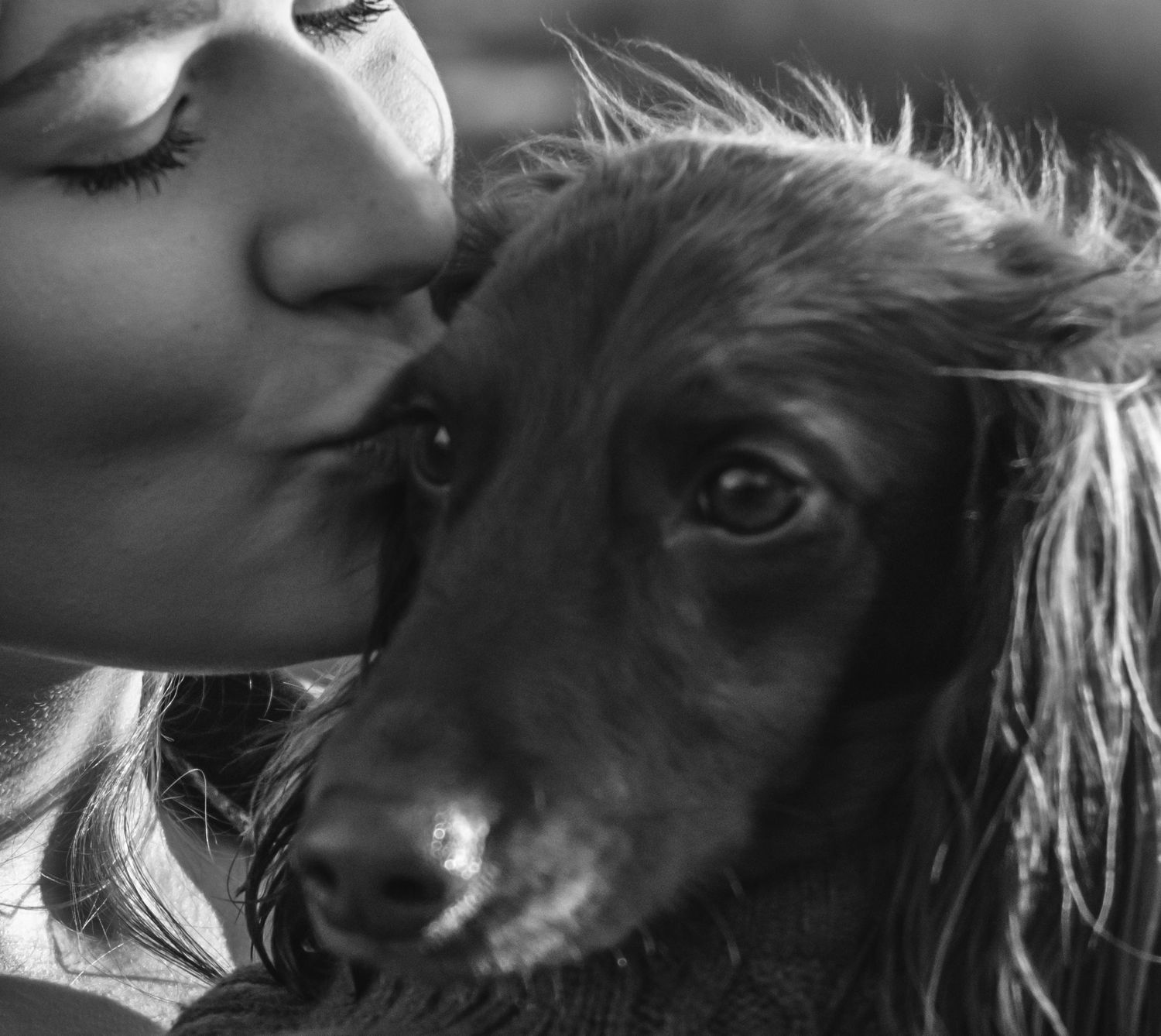 Black and white photo of a woman kissing her long-haired dachshund dog on the head.