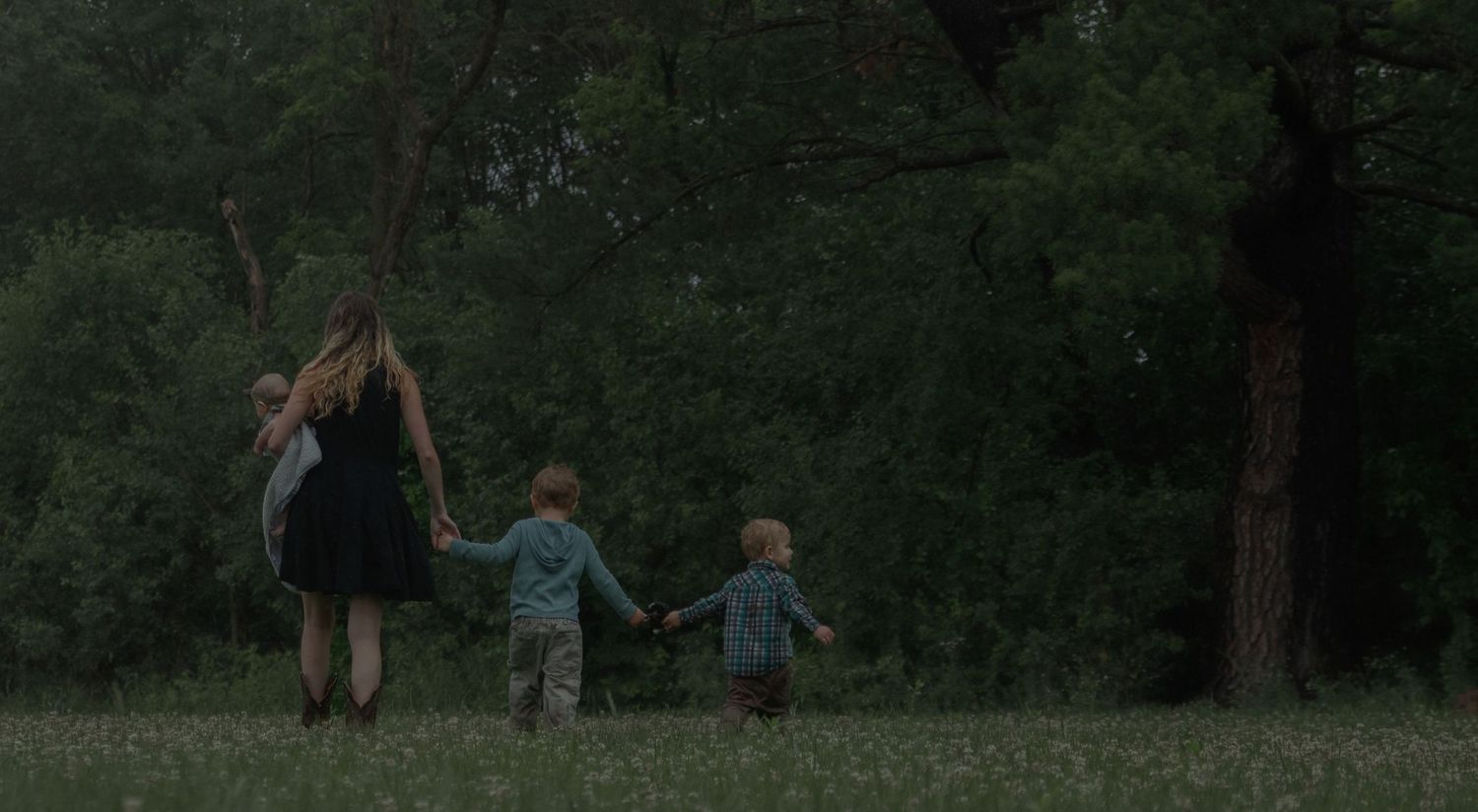 Children playing outdoors in a green wooded area at dusk, creating a whimsical silhouette against the dark trees.