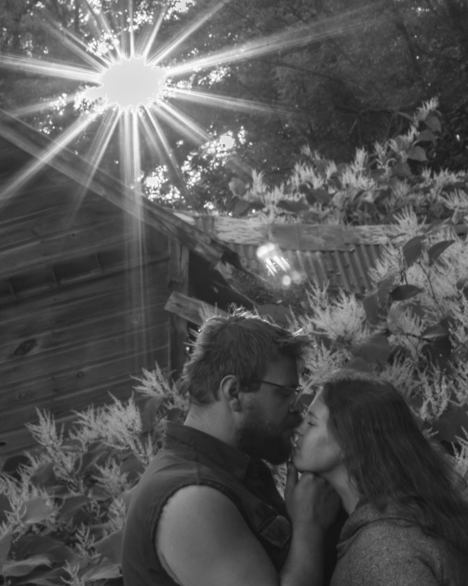 Artistic black and white photo sequence showing sunburst light beams filtering through leaves creating dramatic silhouettes.