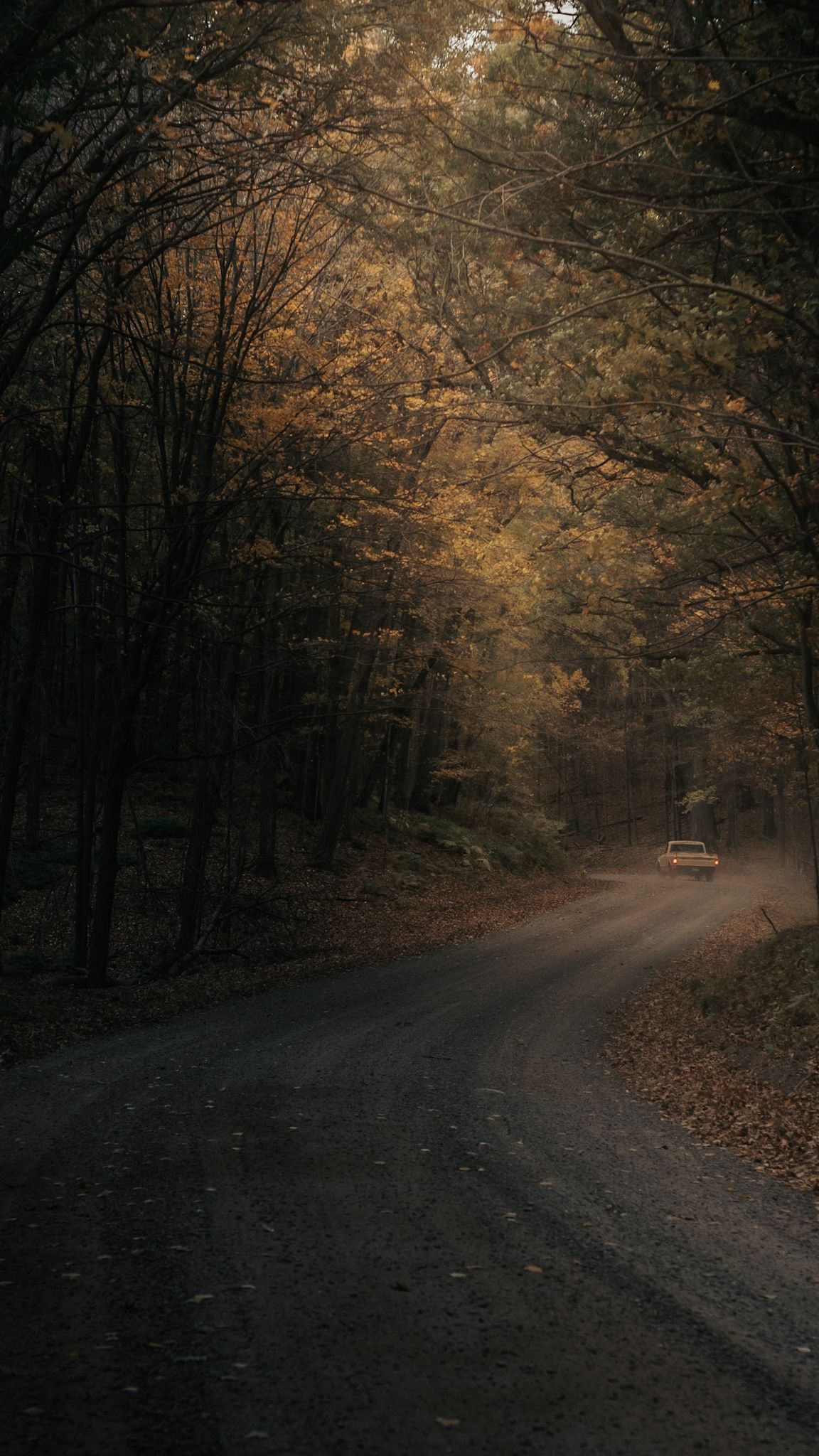 A car drives down a winding dirt road through an autumn forest with golden leaves and moody lighting.