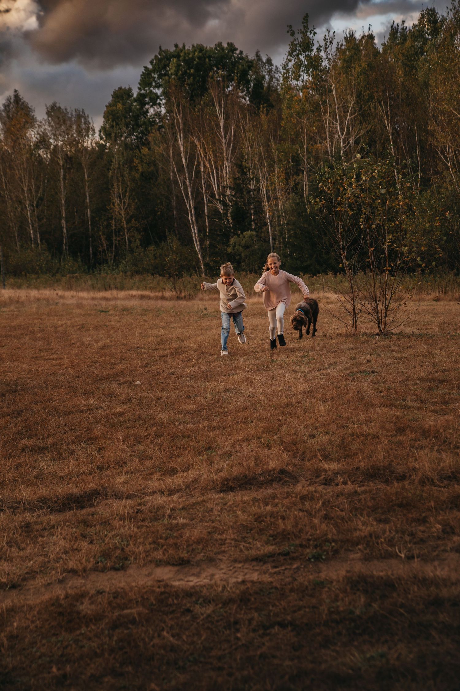 Two children and a dog running joyfully through an autumn field with trees and dramatic cloudy sky.