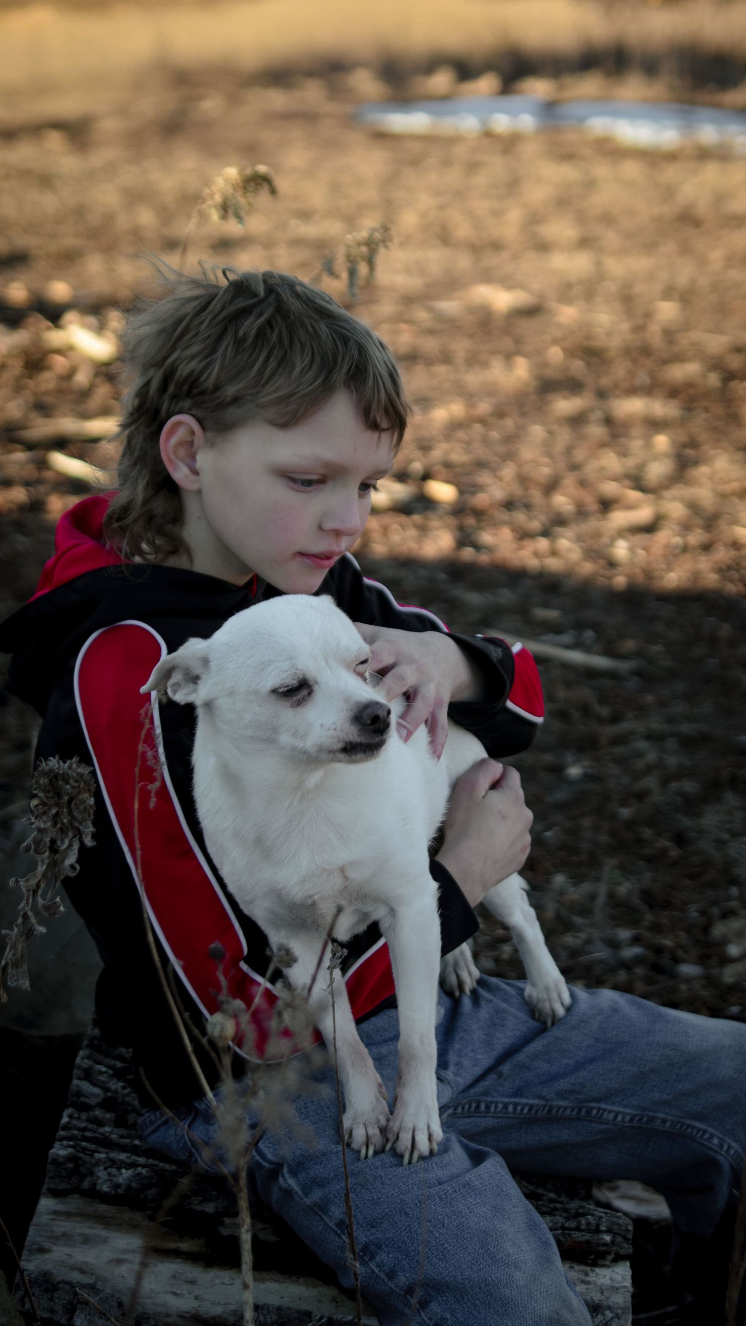 A young boy in a red and black jacket tenderly holds a small white Chihuahua dog outdoors.