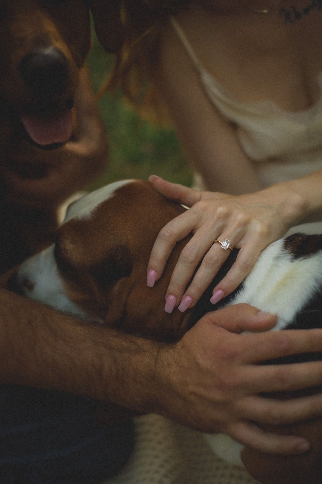 Close-up of an engagement ring on a woman's hand while petting a Basset Hound dog outdoors.