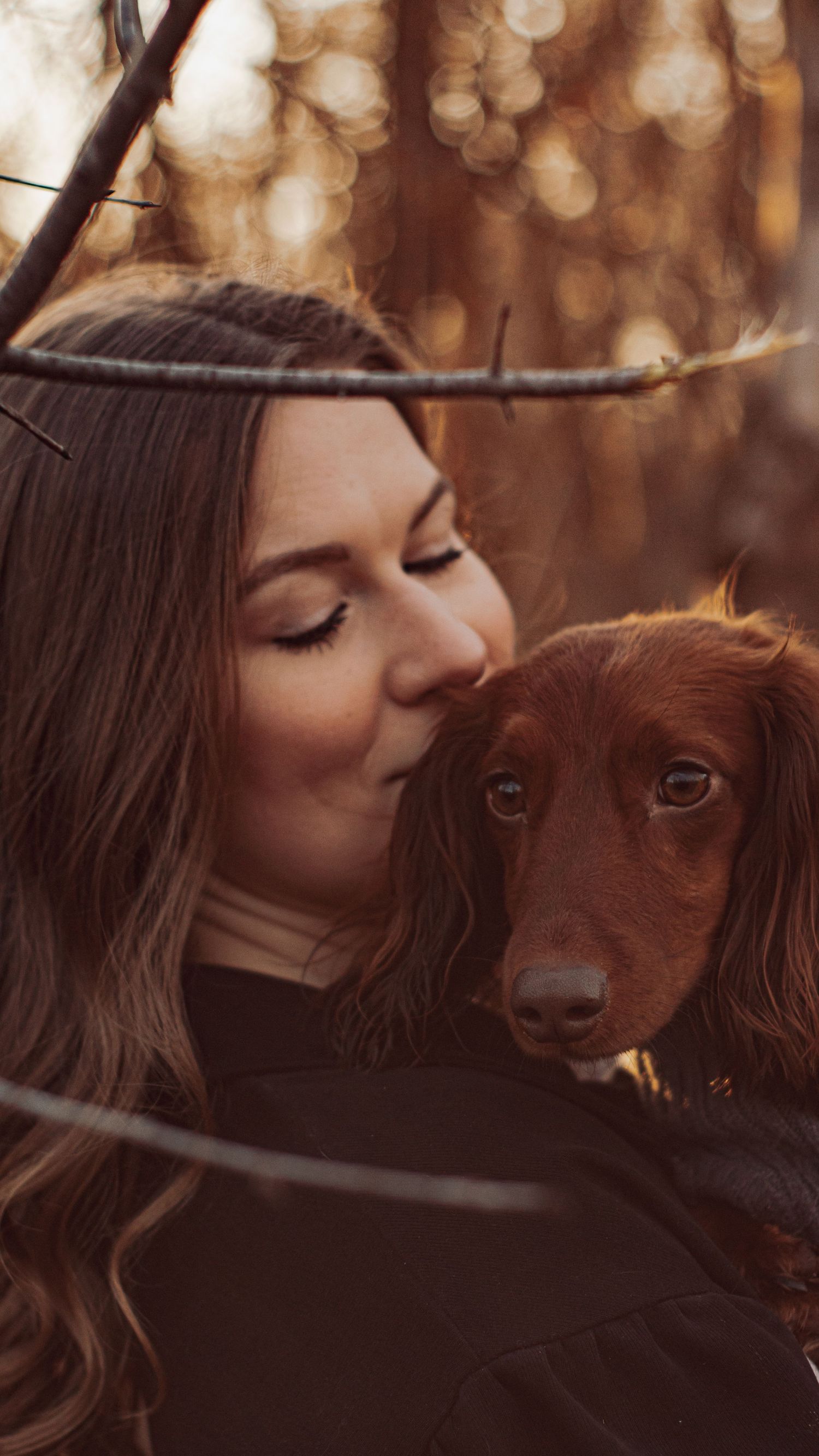 Young woman with eyes closed kissing a red long-haired dachshund in a warm bokeh forest setting.