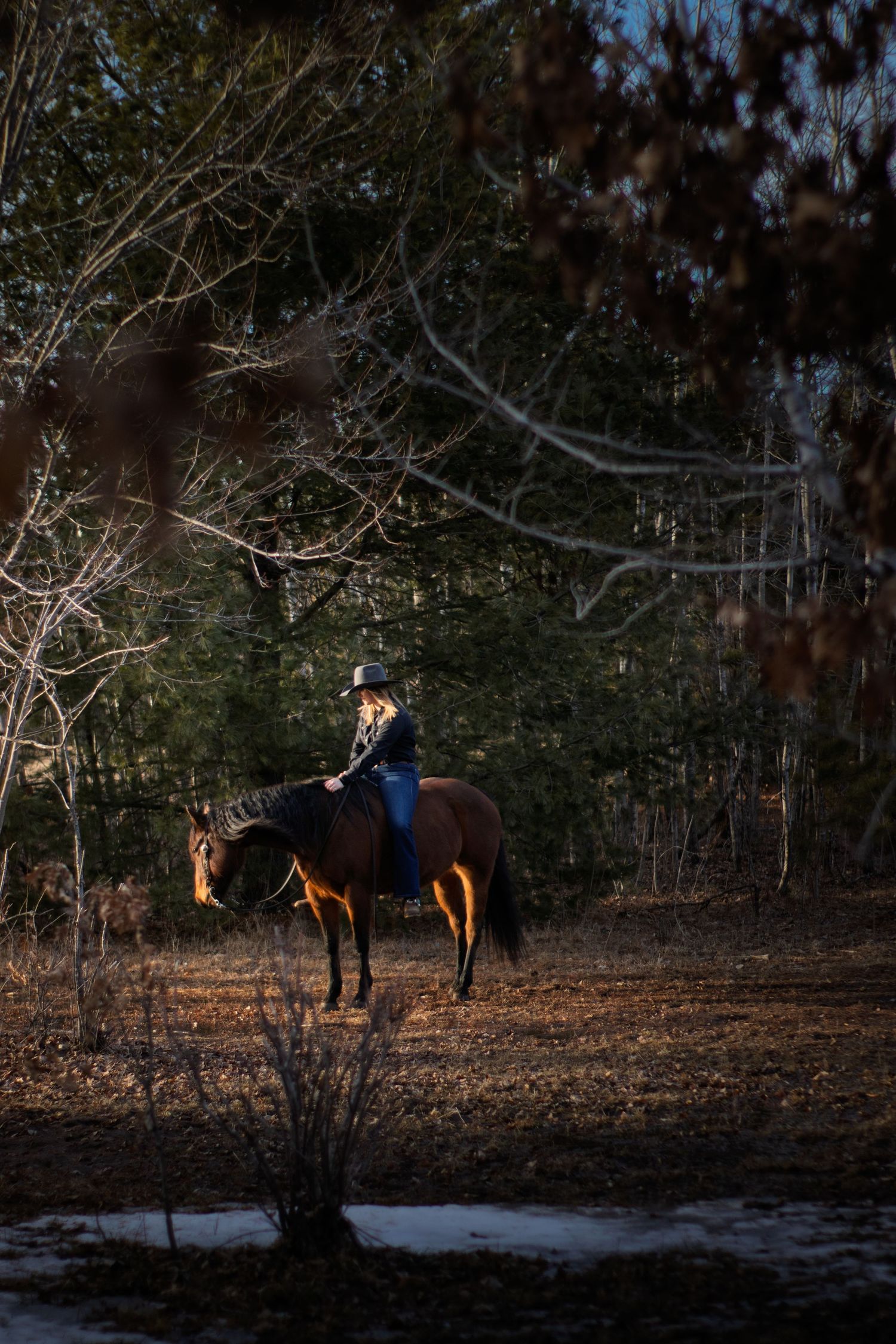 A person rides horseback through a wintery forest trail at dusk with patches of snow visible on the ground.