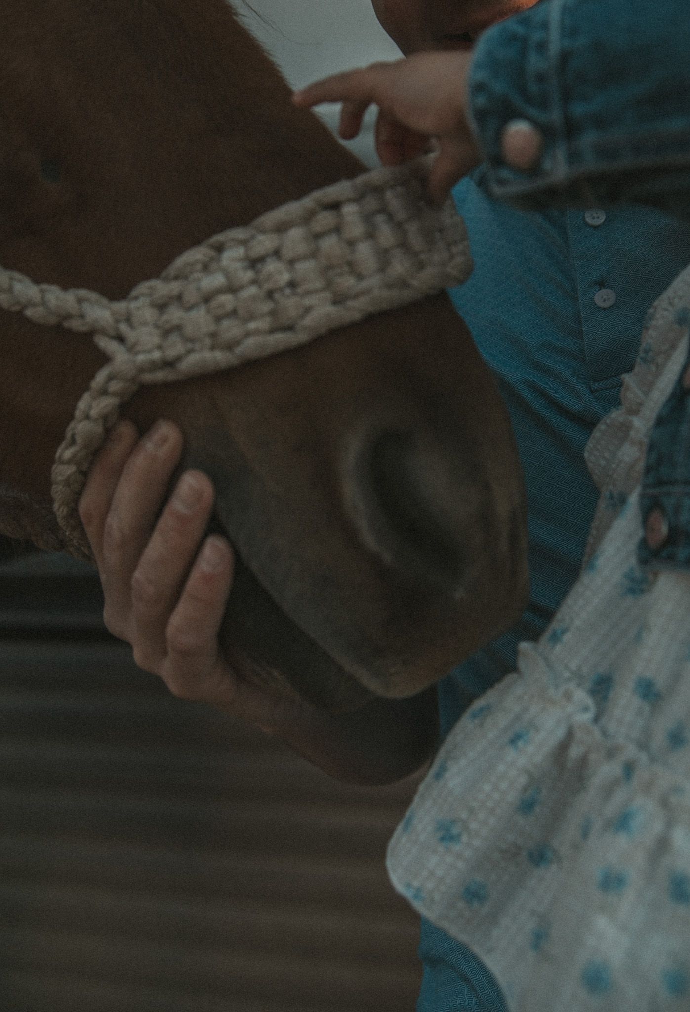 Close-up of a person gently holding a brown horse's nose with a woven halter, with a child in blue nearby.