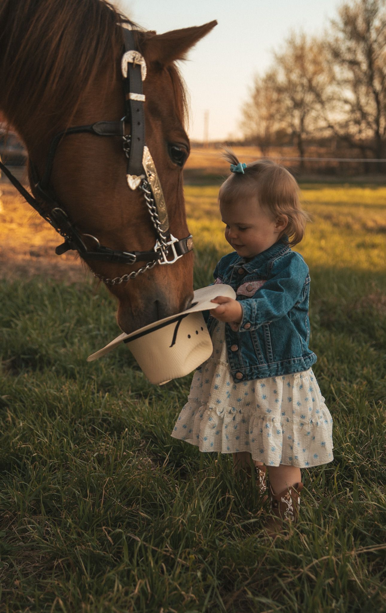 Toddler girl in denim jacket and cowboy boots holds white hat near brown horse at golden hour.