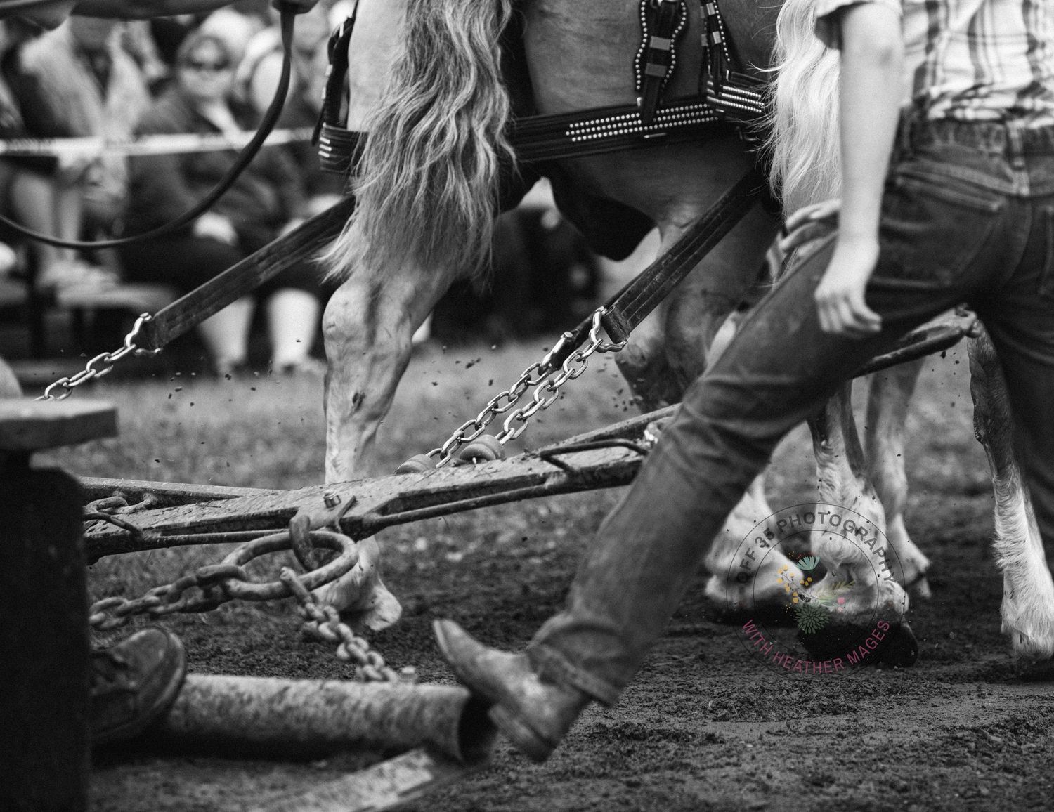 Close-up of horse hooves and boots in motion on dirt ground.