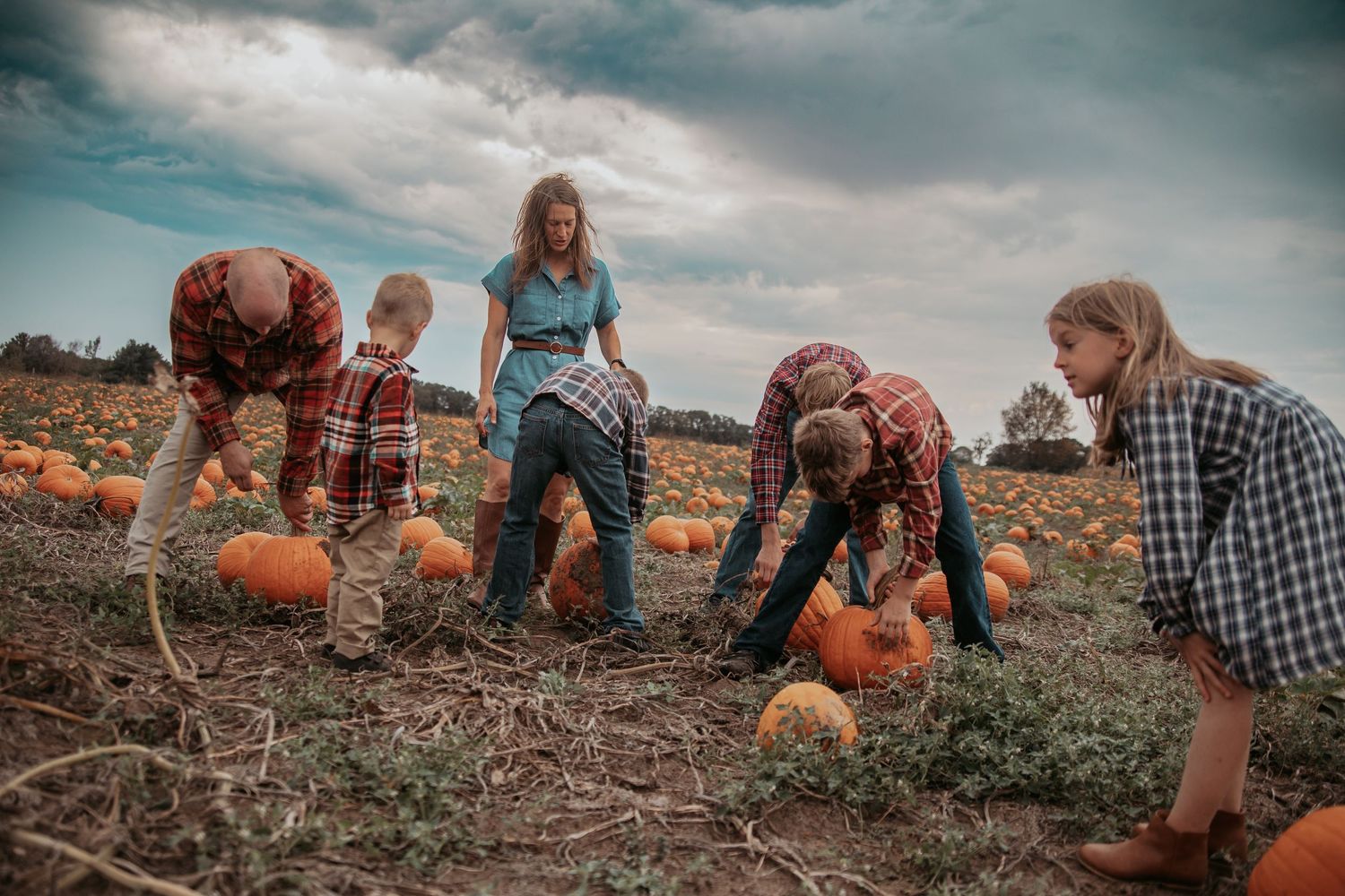People searching through a pumpkin patch on a cloudy autumn day at a farm with orange pumpkins scattered on the ground.