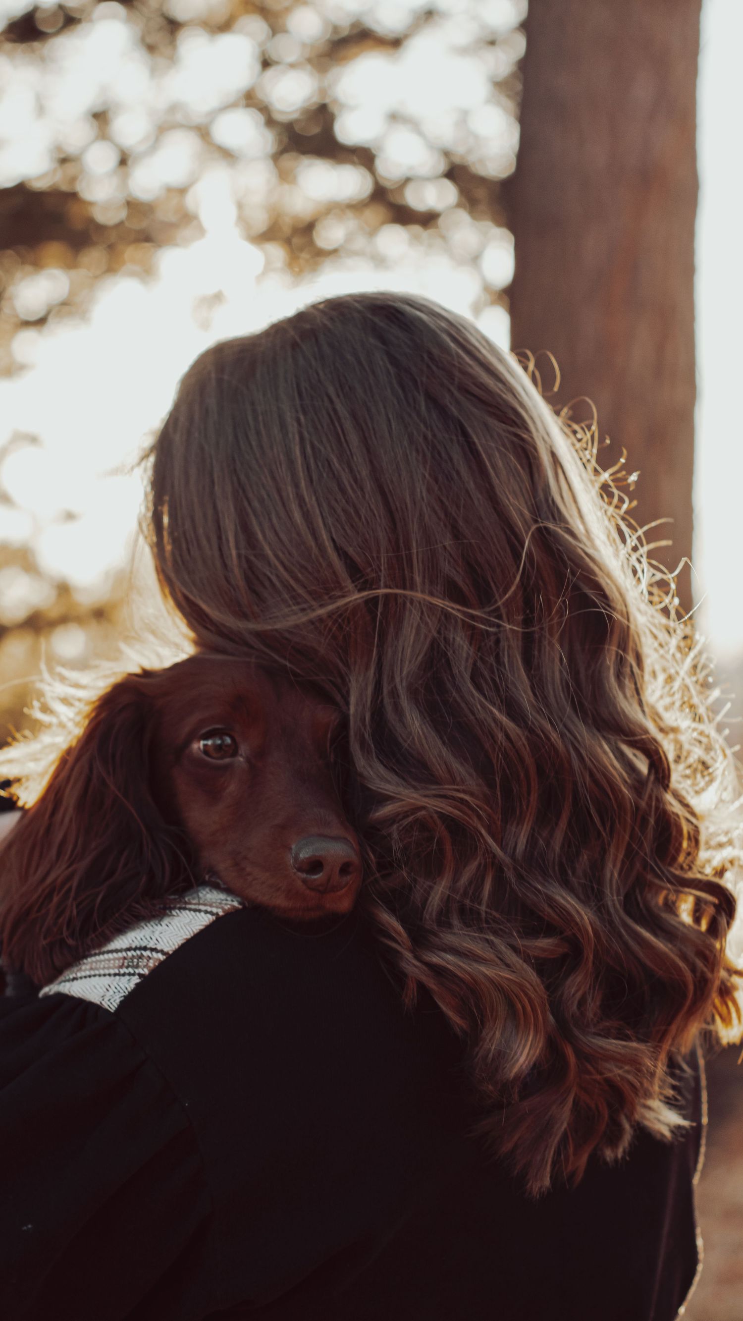 Woman with wavy brown hair holding a small brown dachshund puppy outdoors in warm sunlight.