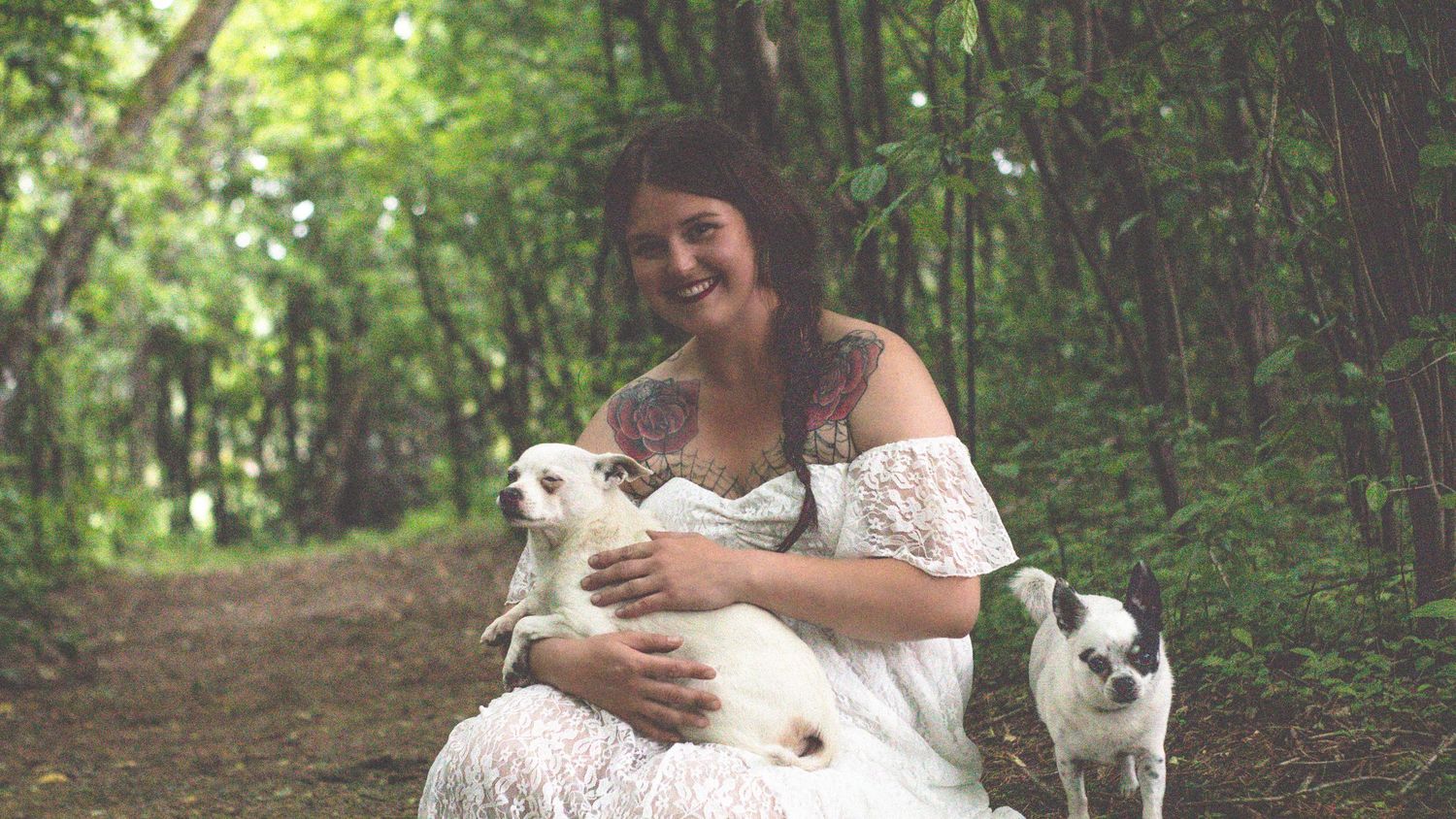 A group of Japanese Chin dogs poses together in a wooded outdoor setting.