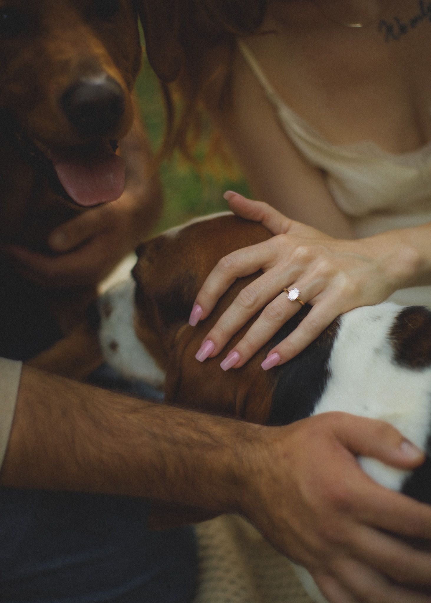 Couple with pink manicure engagement ring petting two dogs, a dachshund and beagle, in an outdoor setting.