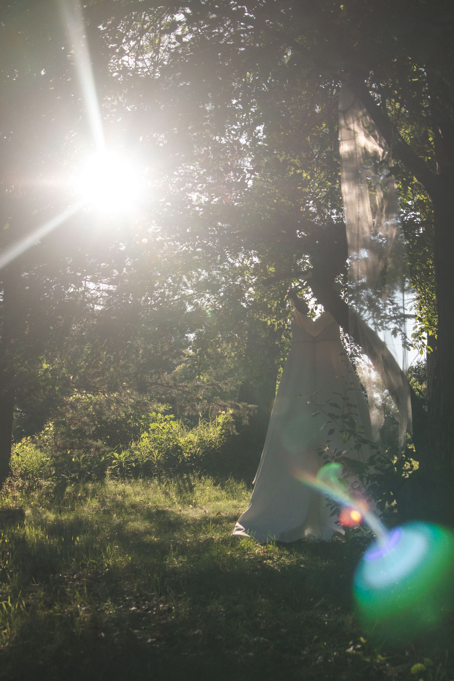 Five images show a silhouette in a sunlit garden with trees and grass, creating a dreamy, backlit effect.