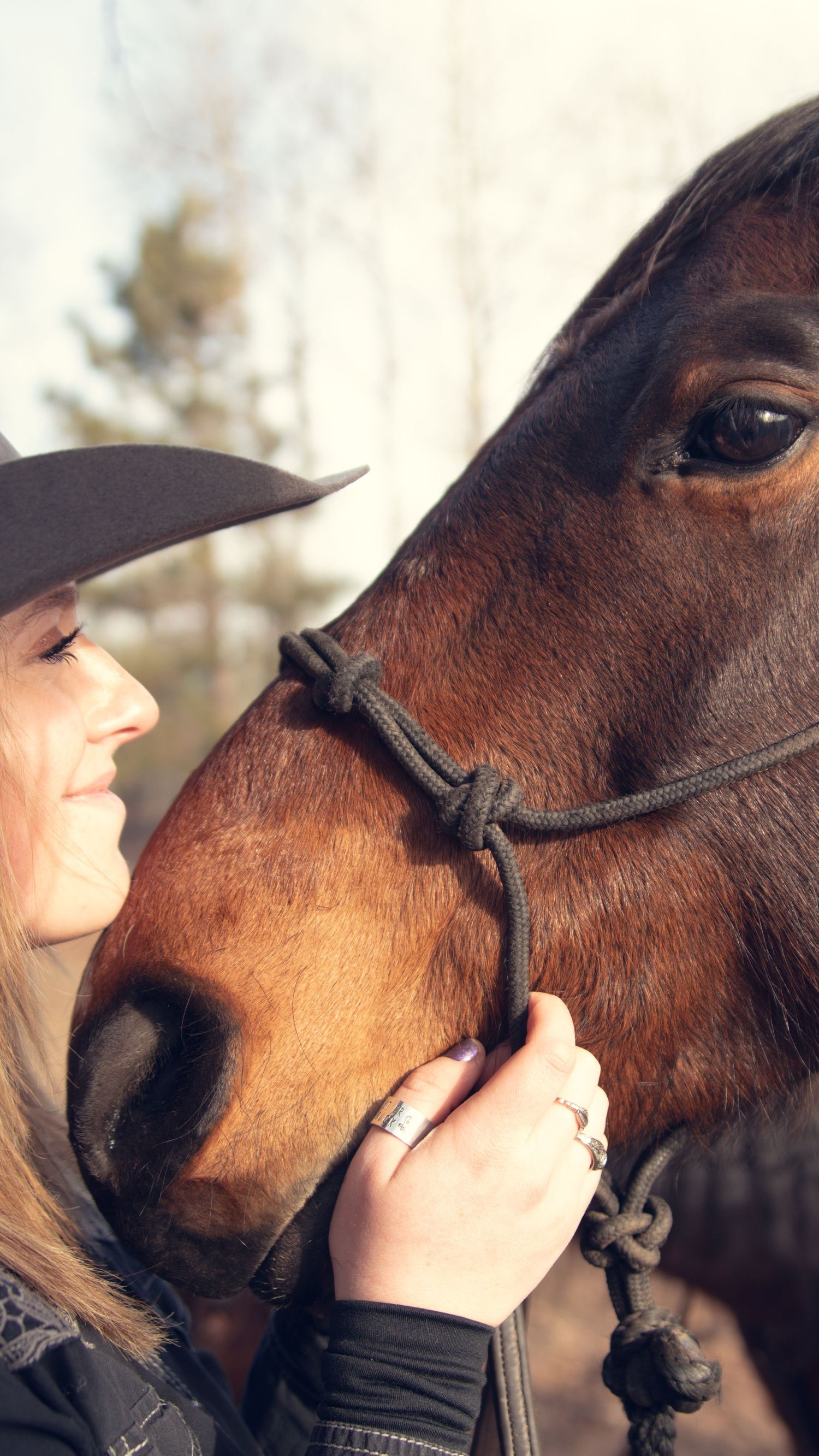 A close-up moment between a person and their brown horse against a light background.