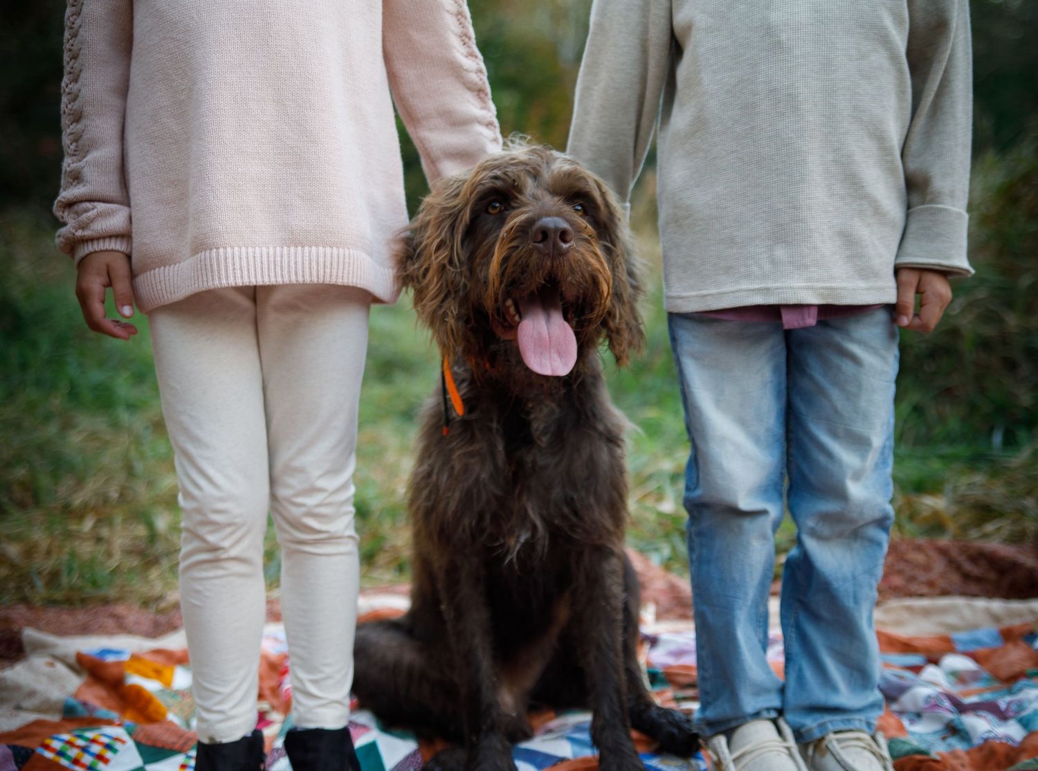 Two children stand beside a large fluffy brown dog sitting on a colorful blanket outdoors.