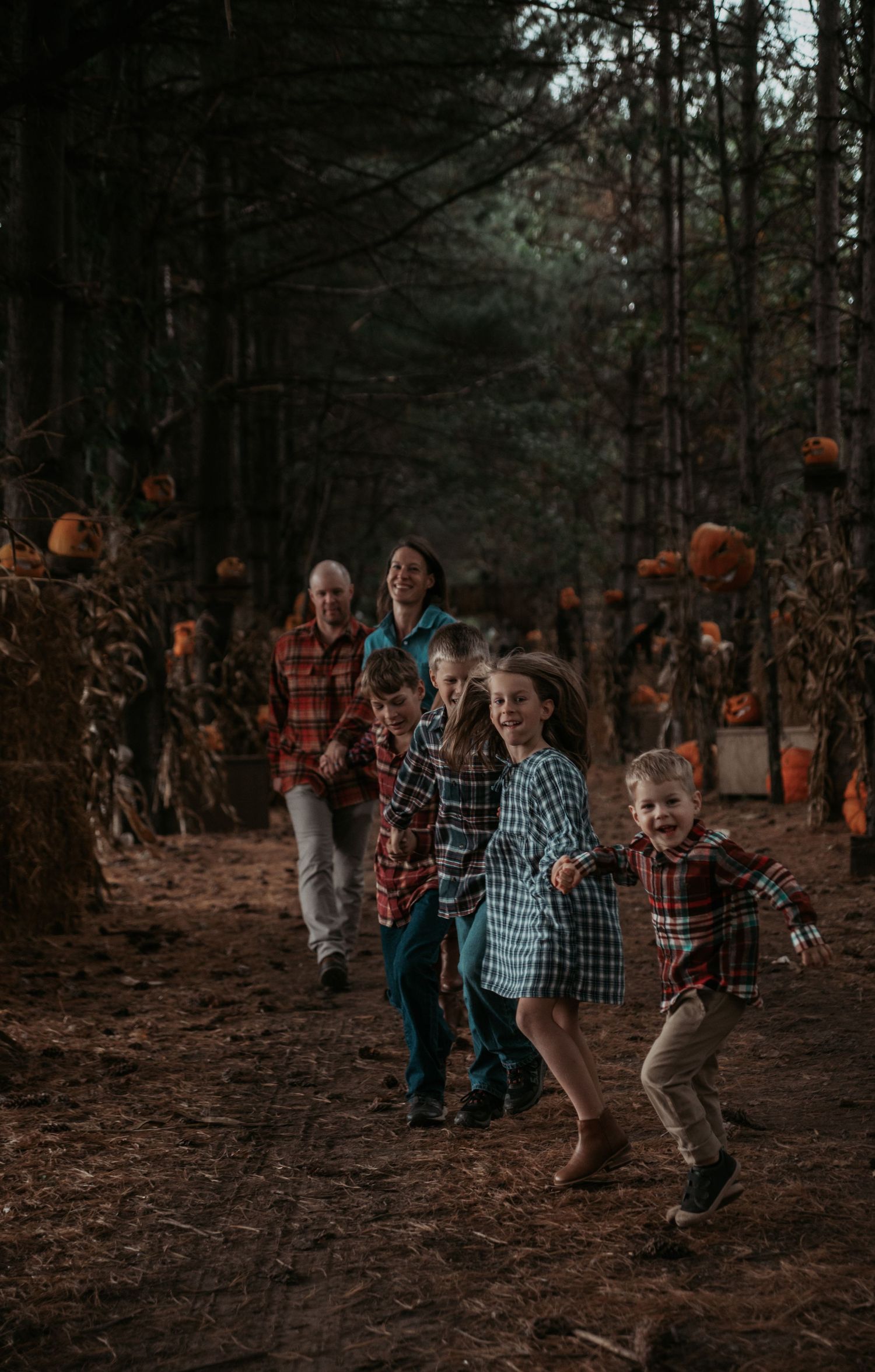 A family walks along a dark forest path decorated with glowing orange pumpkins during autumn.
