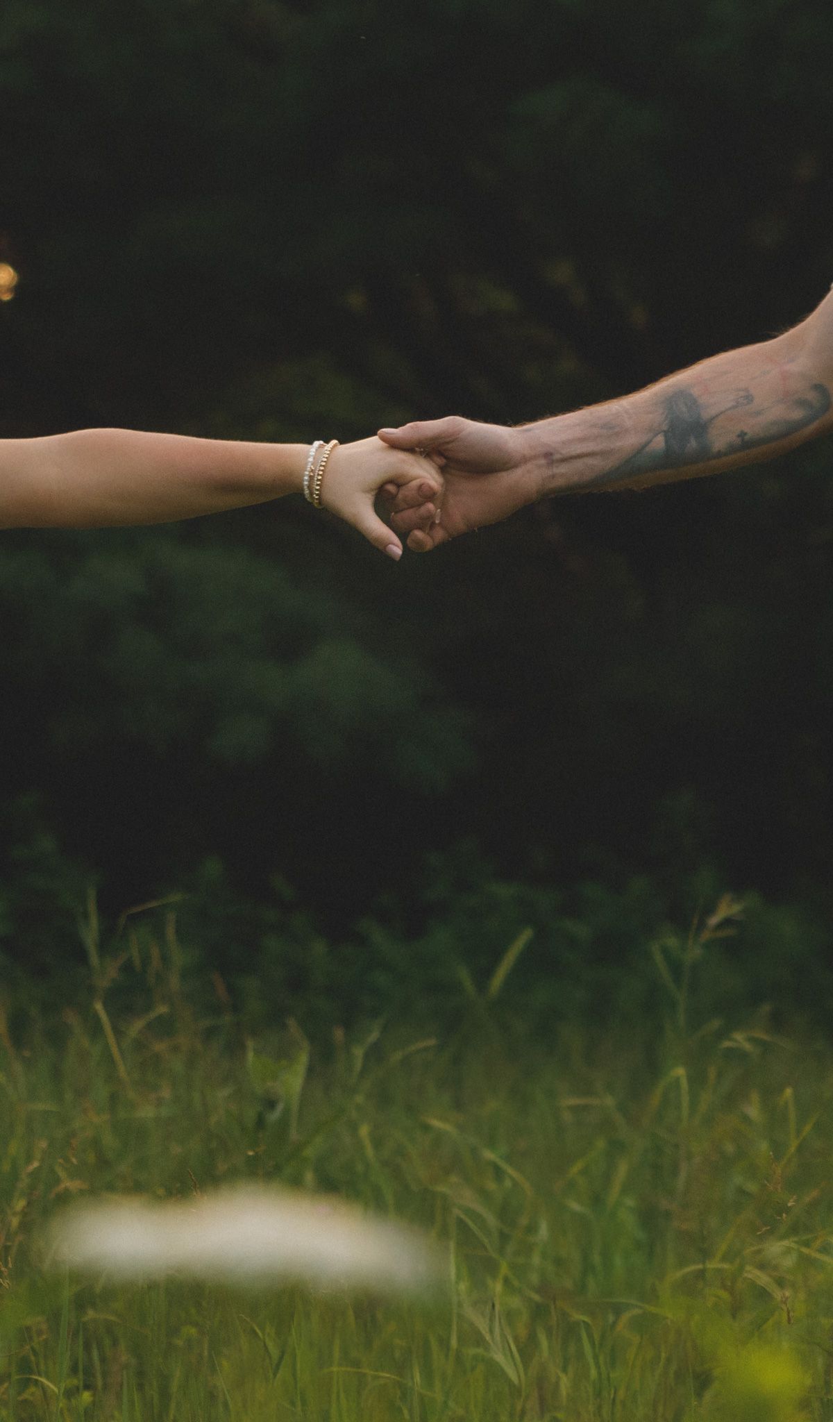 Two hands reaching toward each other in a field, one with a bracelet and one with a tattoo, symbolizing connection.