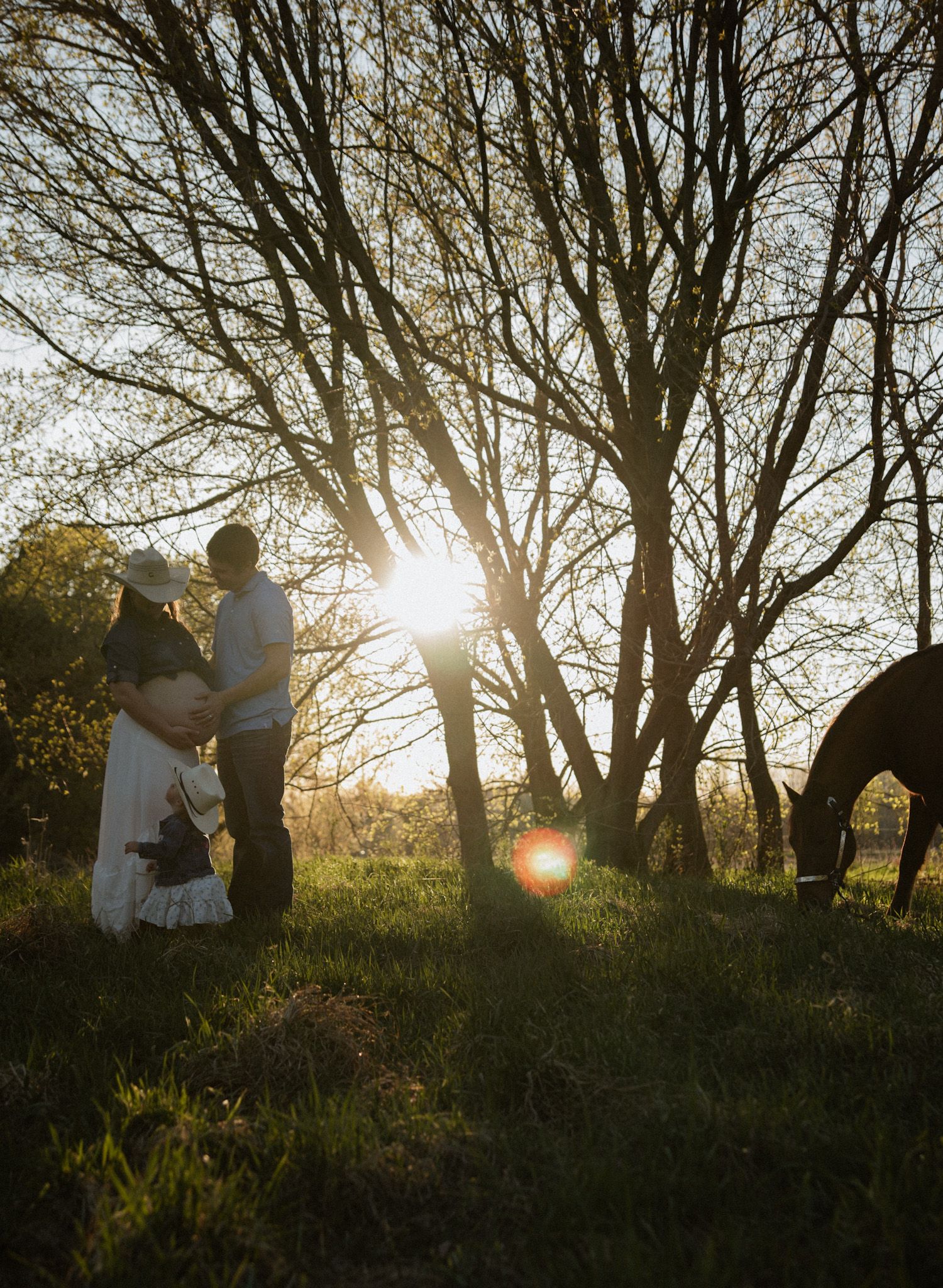 Family and horse silhouetted by golden sunset light filtering through bare trees in a lush green field.