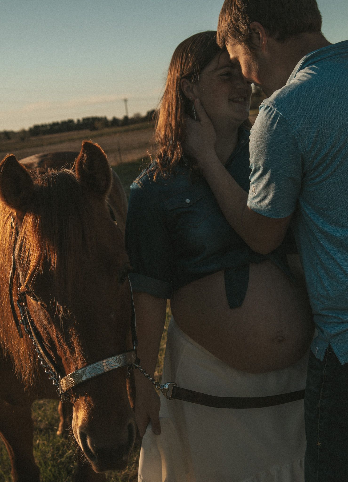 Pregnant couple embracing tenderly at sunset in a field beside a brown horse wearing a halter.