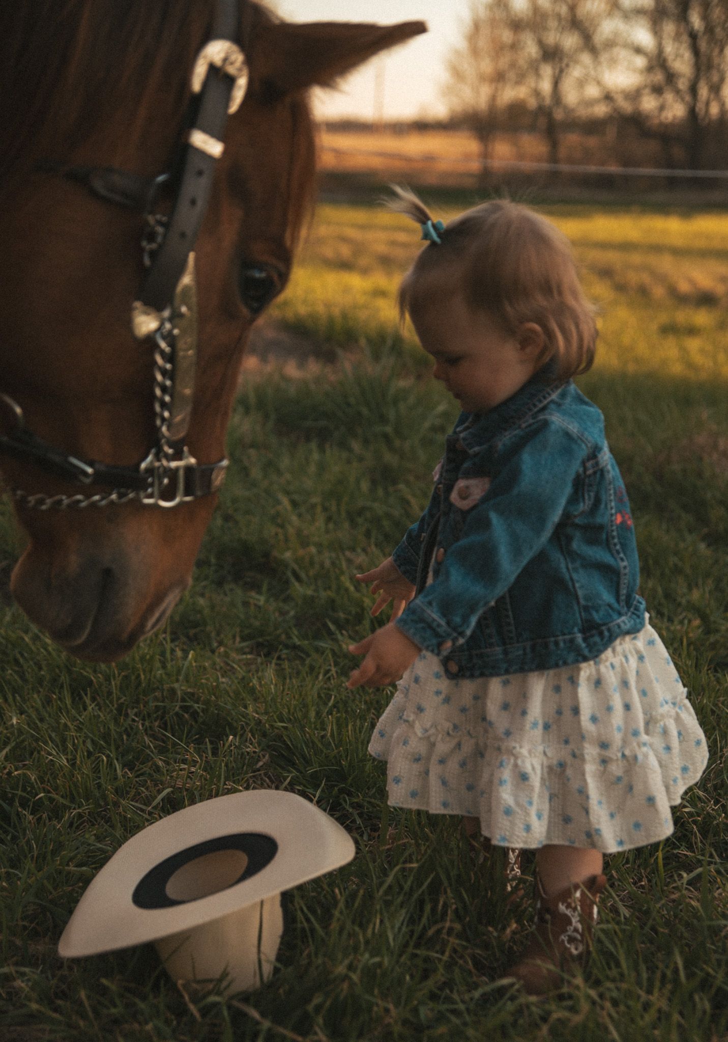 Toddler girl in denim jacket and floral dress stands beside a chestnut horse with dropped cowboy hat on grass.
