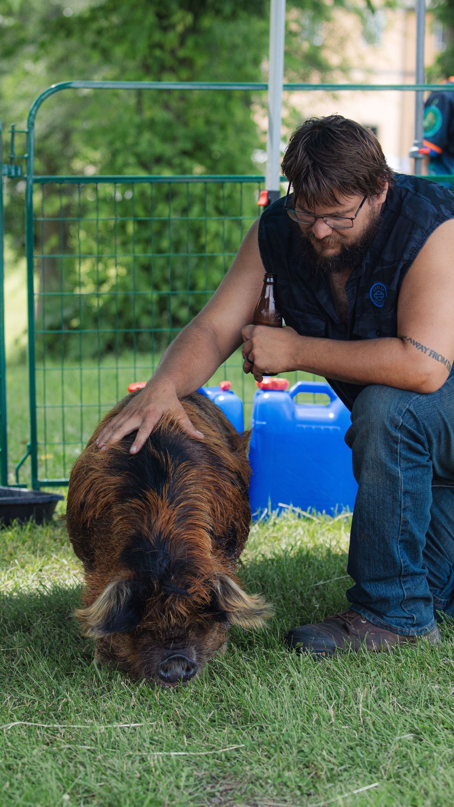 A bearded man in glasses pets a large hairy pig on green grass outdoors near blue containers.