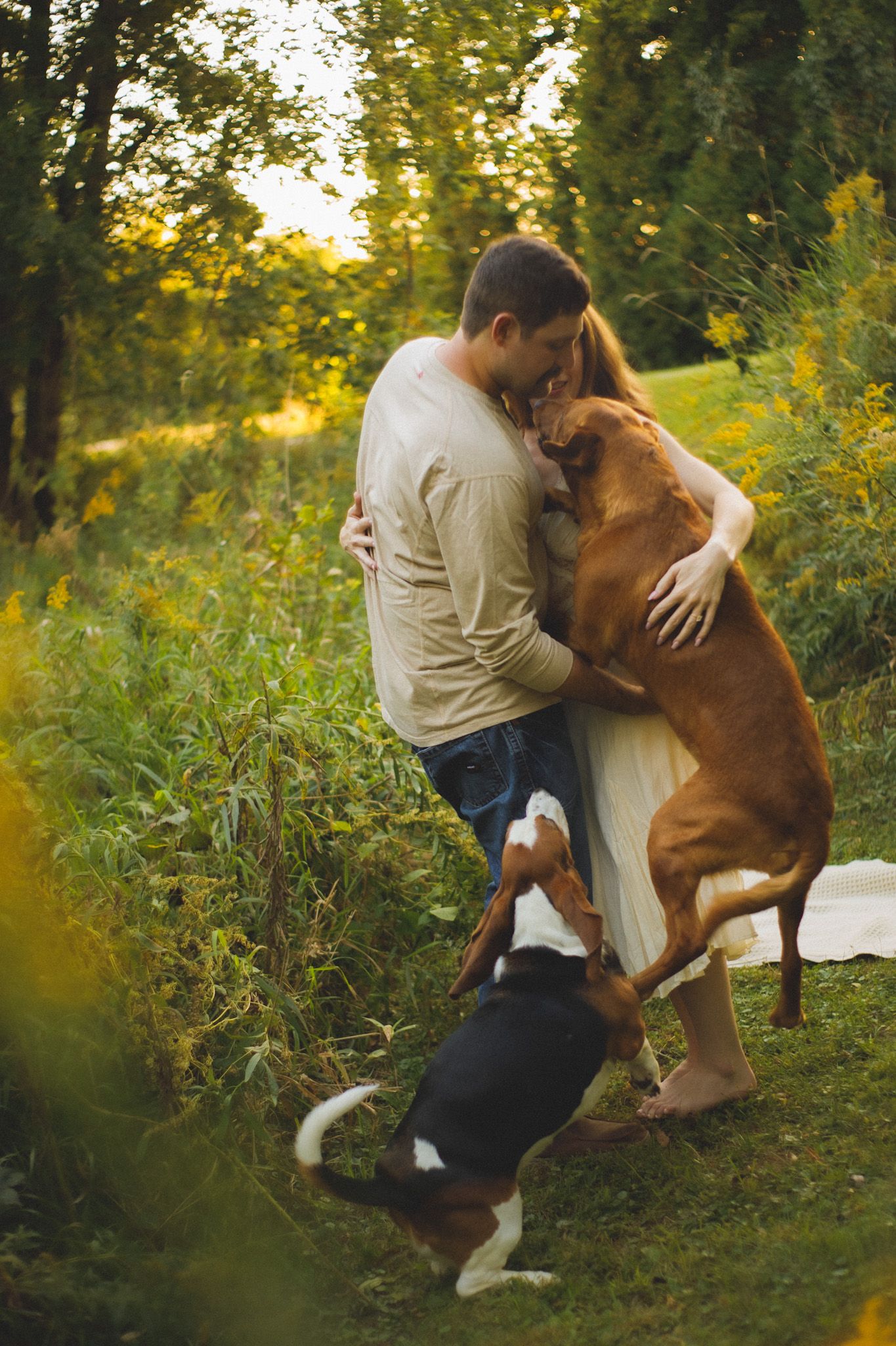 Couple embracing outdoors while two dogs jump up on them in a lush green field at golden hour.