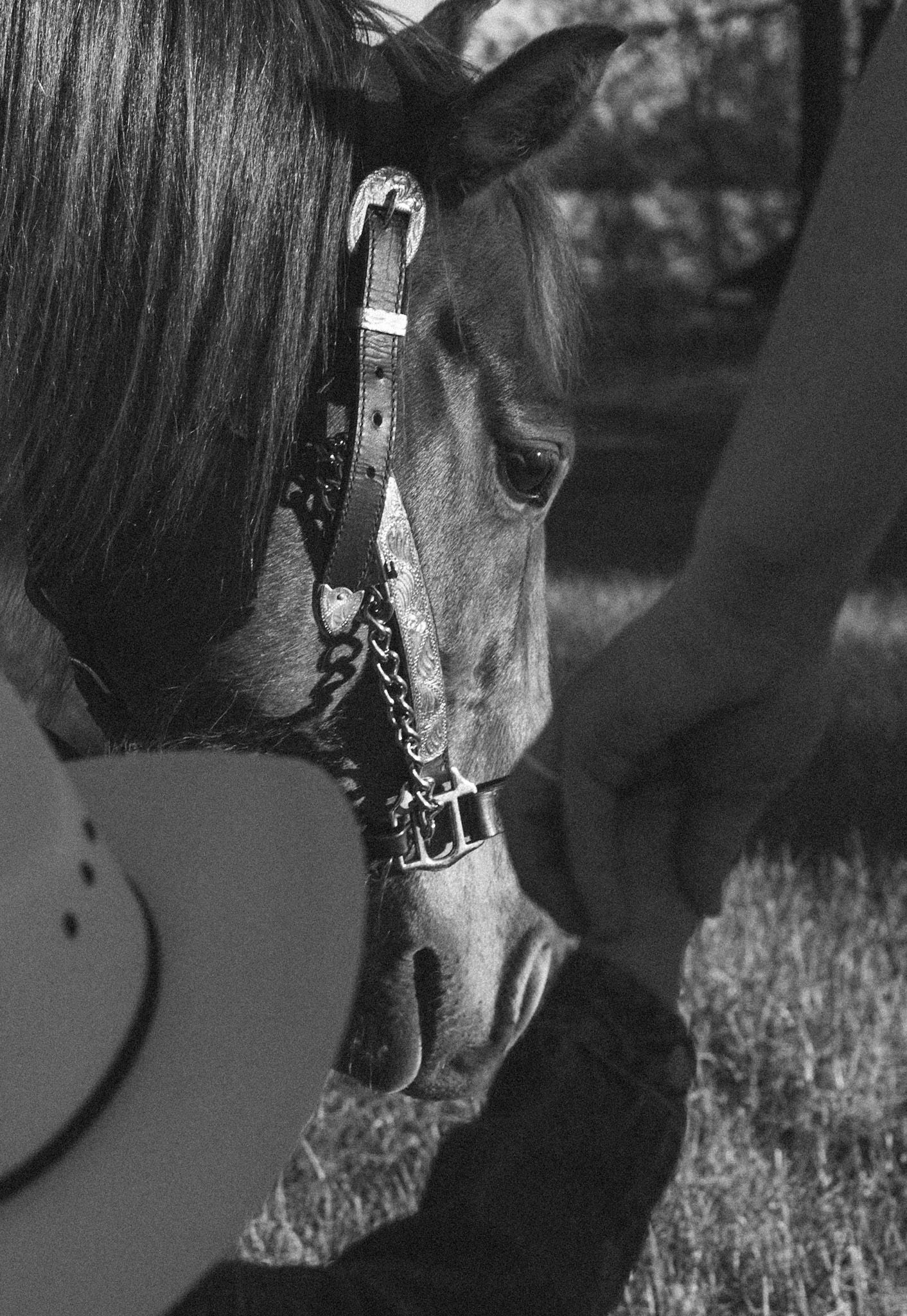 Black and white close-up of a woman in a cowboy hat nuzzling a horse wearing a decorative bridle outdoors.