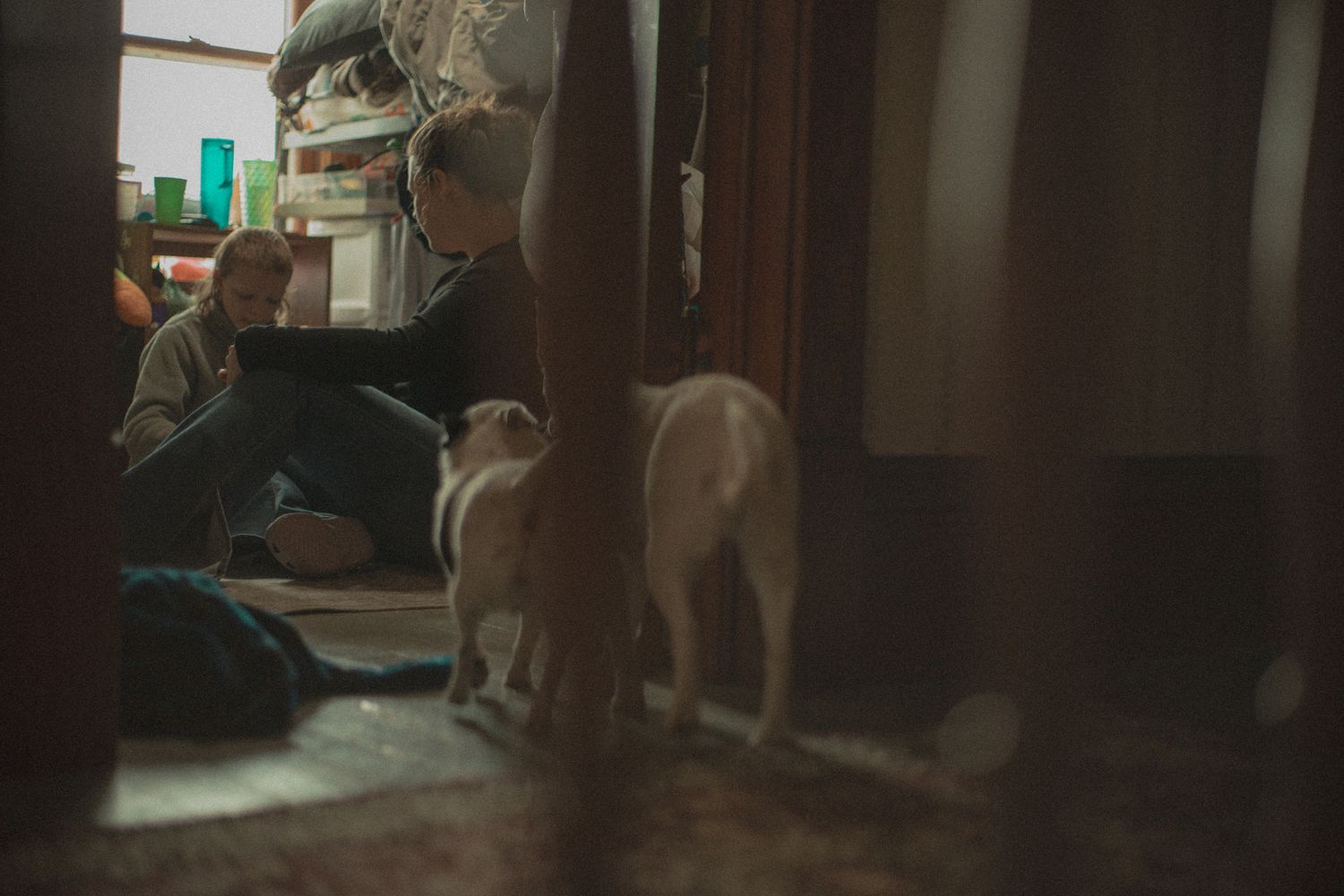 A white cat stands in a dimly lit room doorway while a person sits on the floor in the background.