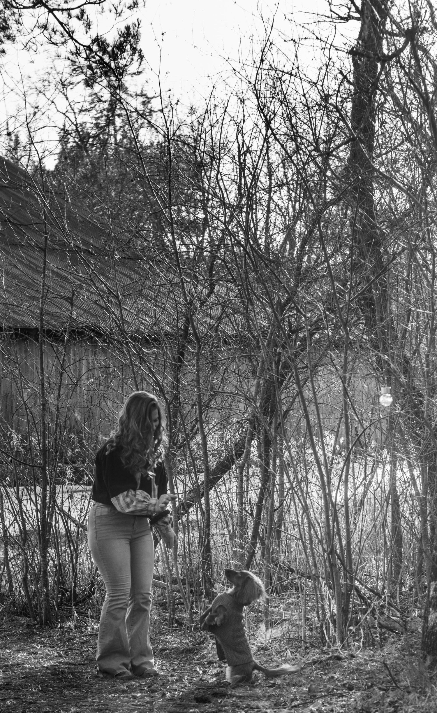 Woman feeding a dachshund treats outdoors near bare trees in black and white photography.