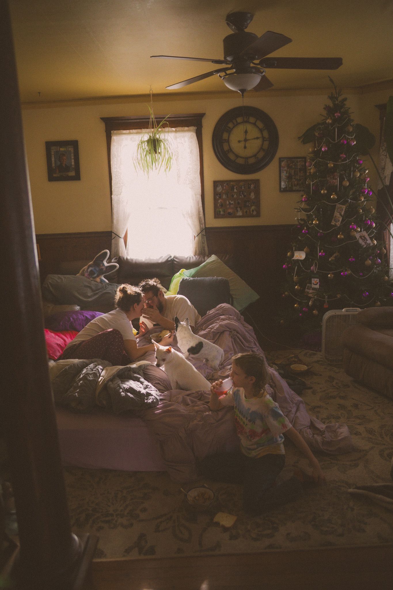 A cozy living room scene with people relaxing on couches while a Christmas tree glows softly in the background.